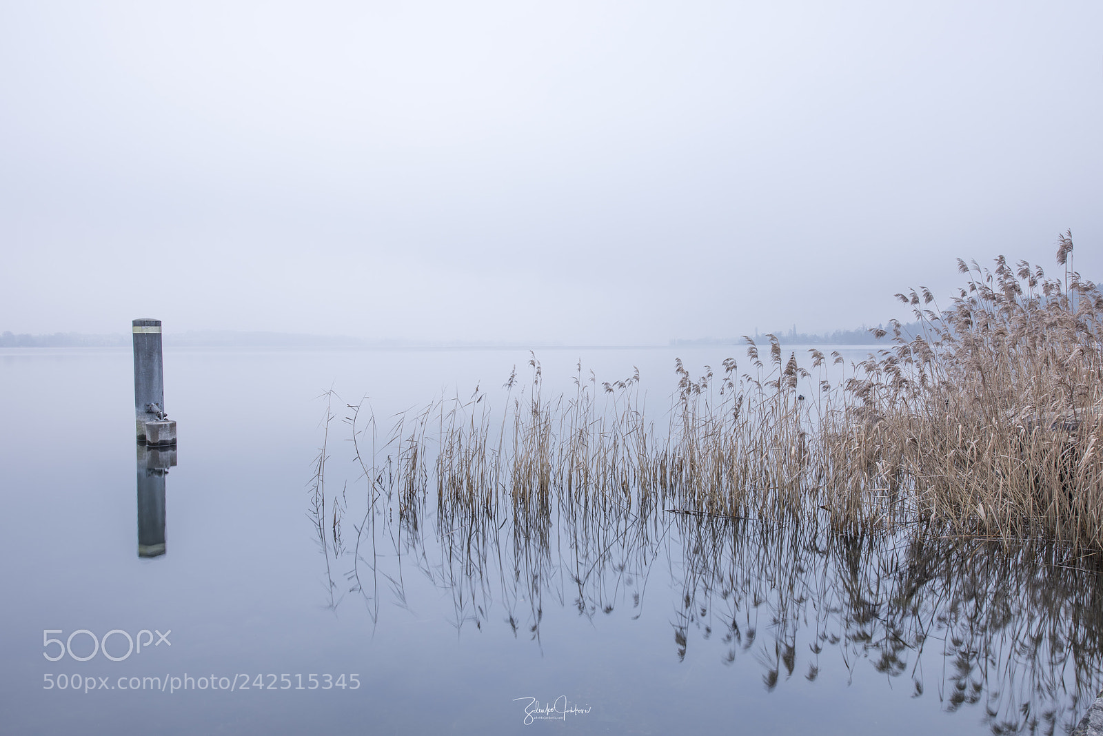 Nikon D810 sample photo. Greifensee photography