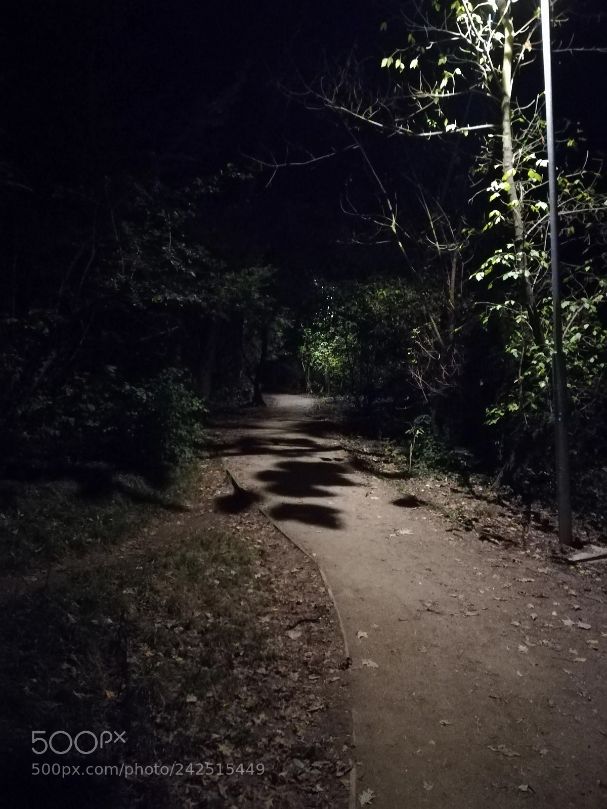 HUAWEI P10 lite sample photo. Untitled photography