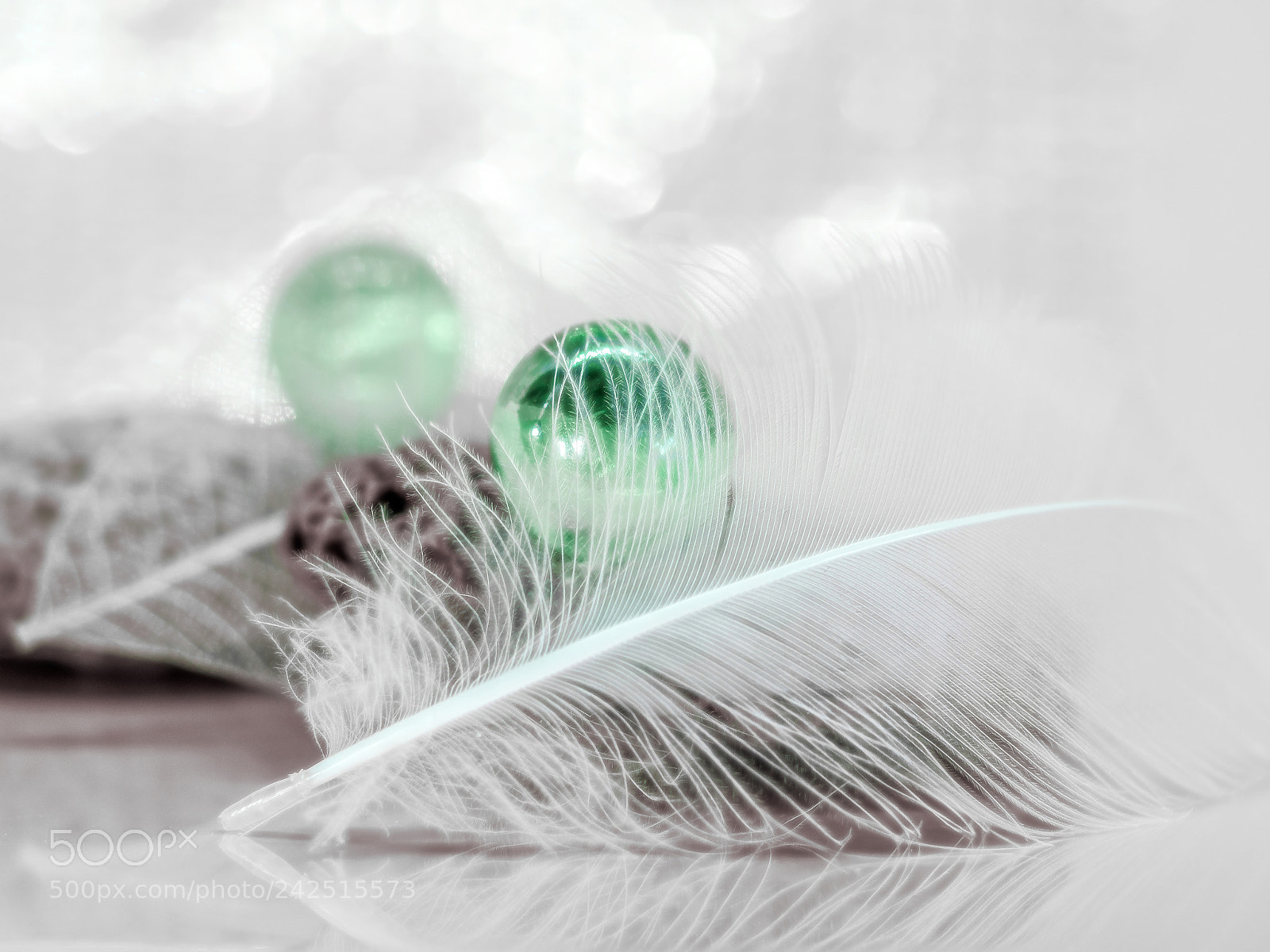 Olympus OM-D E-M5 sample photo. Still life in green photography