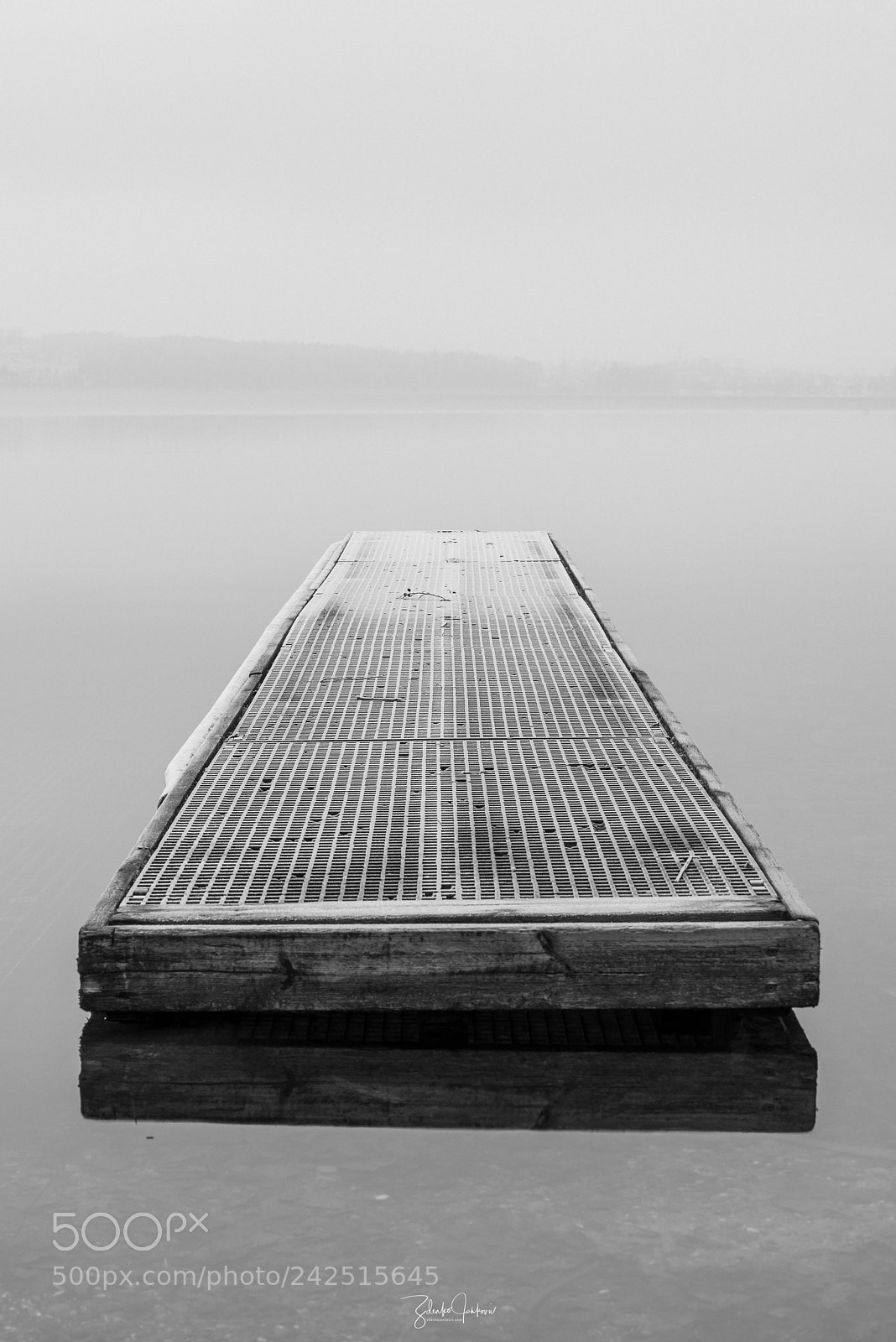 Nikon D810 sample photo. Greifensee photography