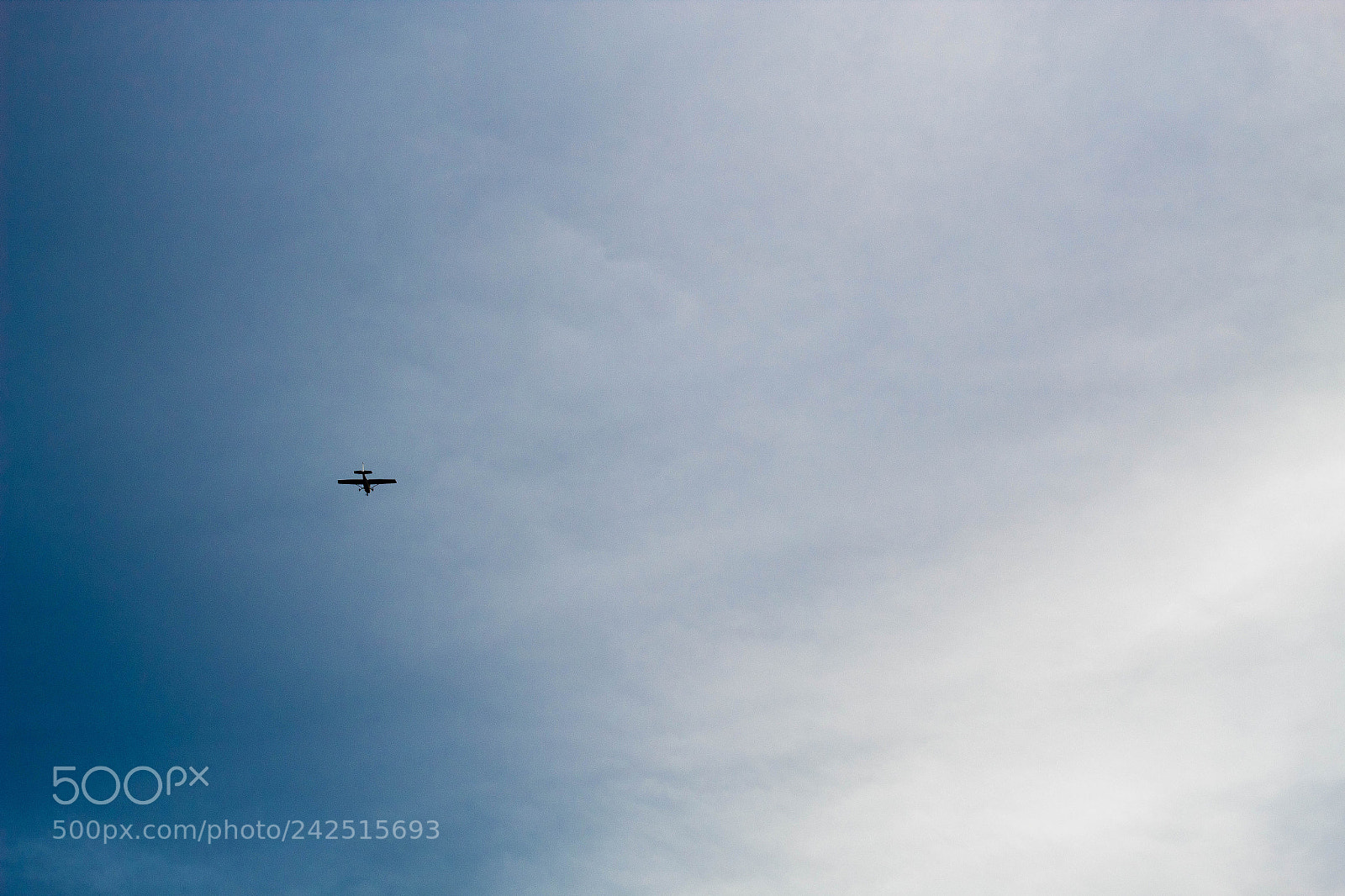 Canon EOS 1300D (EOS Rebel T6 / EOS Kiss X80) sample photo. Flying in a cloudy photography