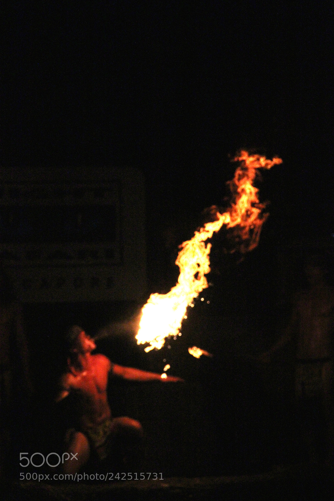 Canon EOS 550D (EOS Rebel T2i / EOS Kiss X4) sample photo. Fire soul photography