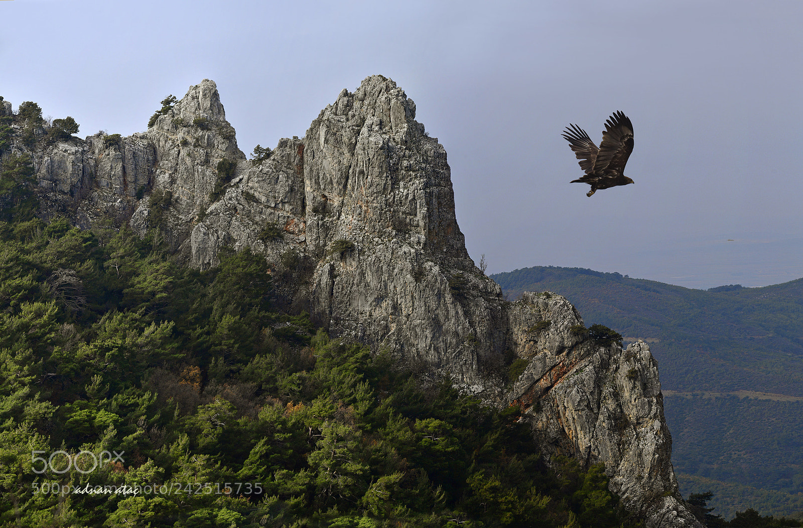 Nikon D5 sample photo. Yamanlar da ve b photography