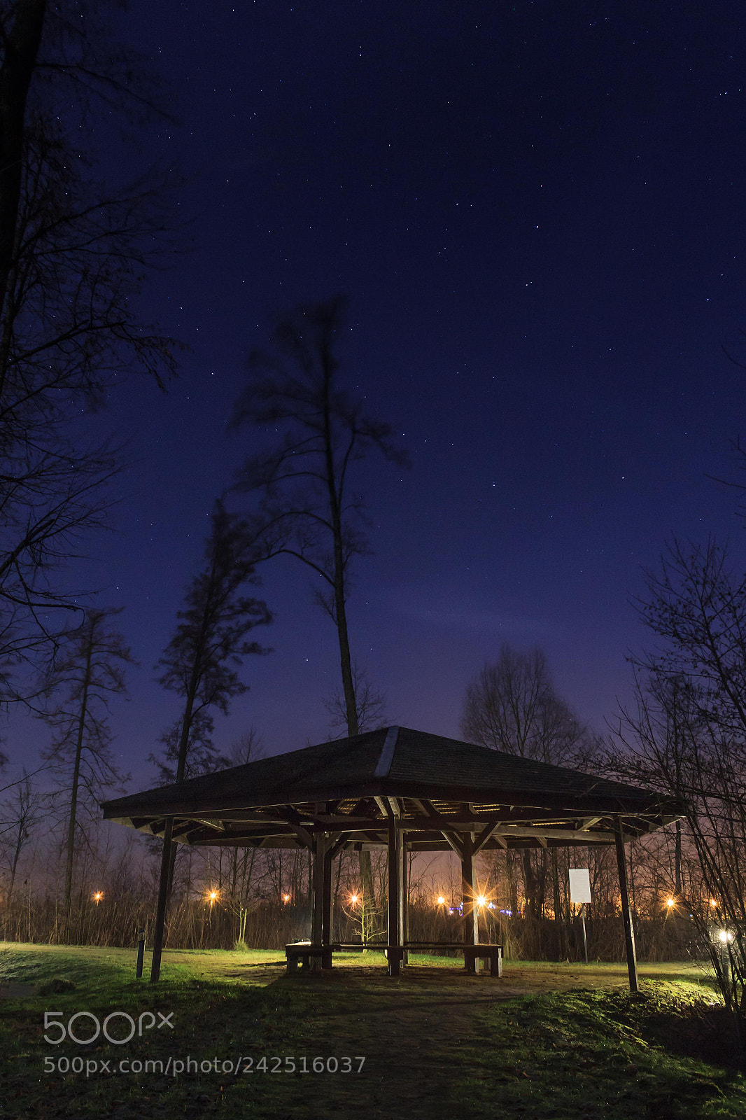 Canon EOS 60D sample photo. Ogród plebański photography