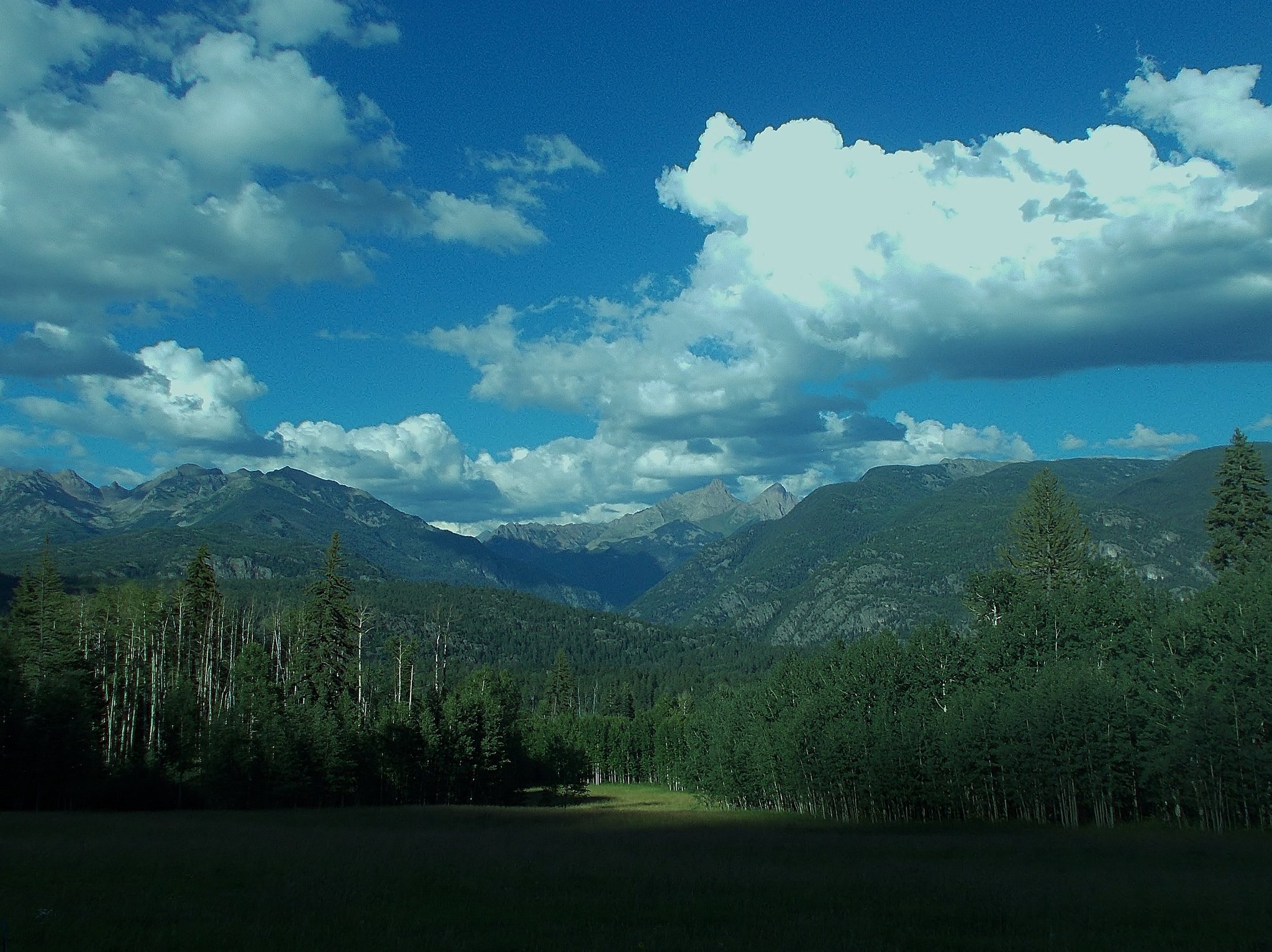 Nikon COOLPIX L29 sample photo. The needles, colorado skies. photography