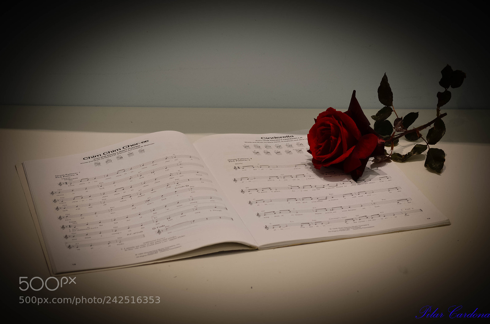 Nikon D5100 sample photo. Rosa photography