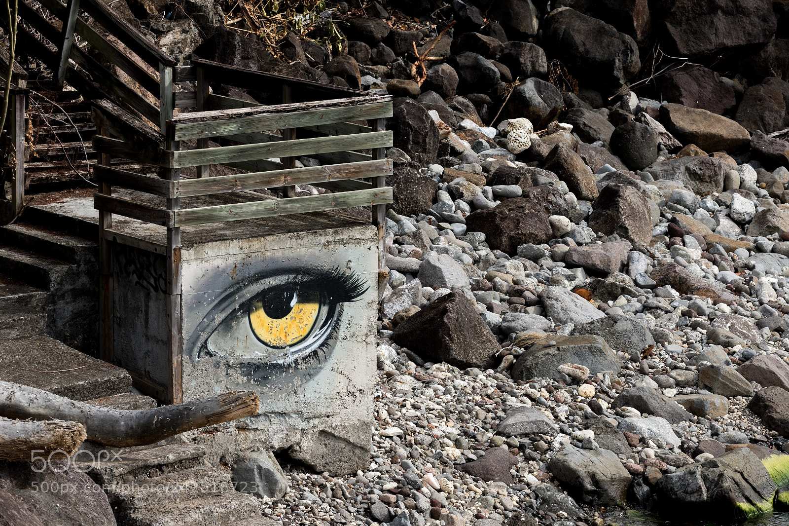 Canon EOS 7D Mark II sample photo. I see you... photography