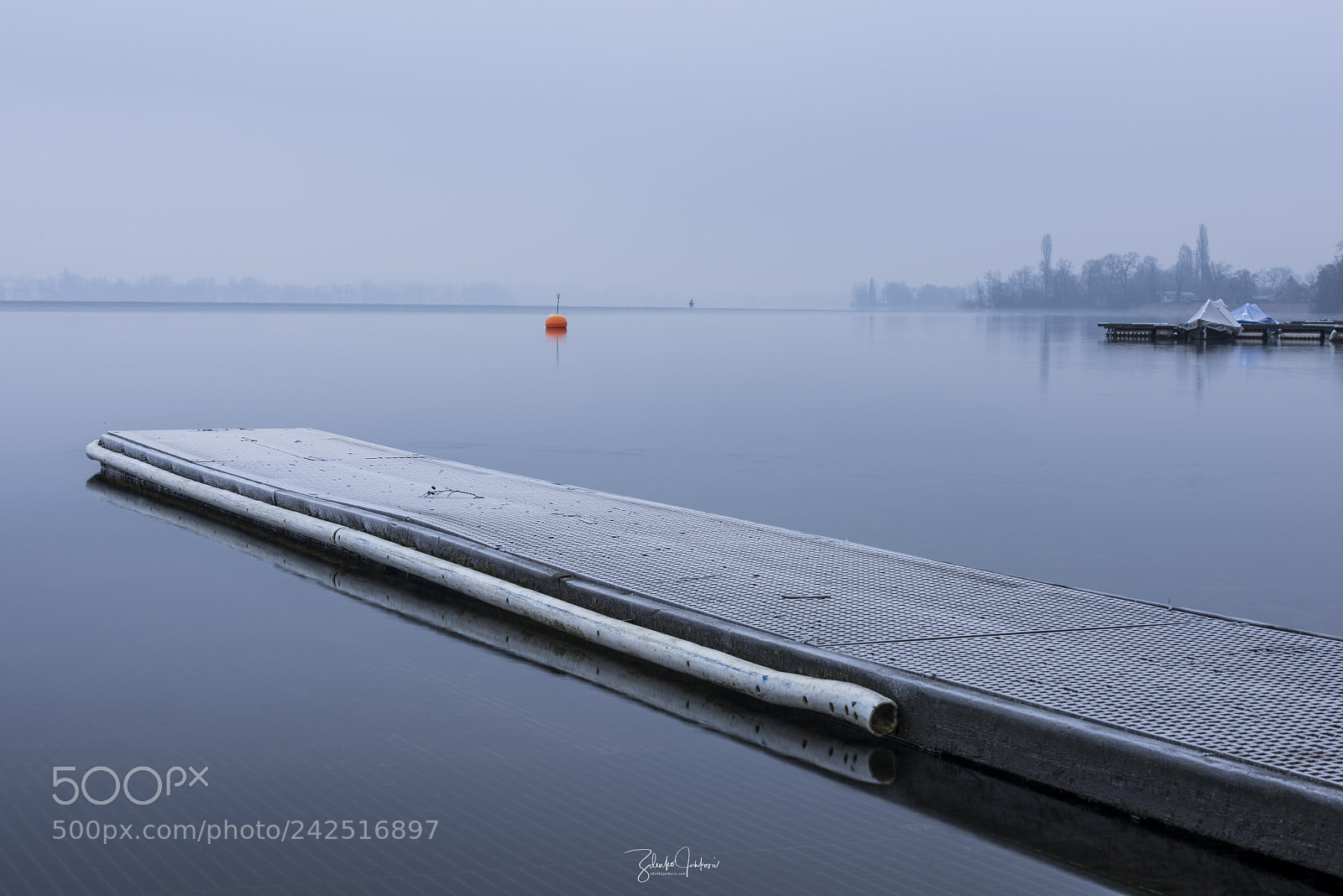 Nikon D810 sample photo. Greifensee photography