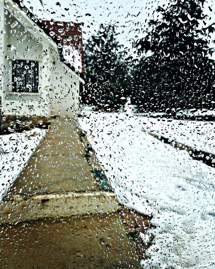 Apple iPad mini sample photo. #morocco#ifrane#snow#photography photography