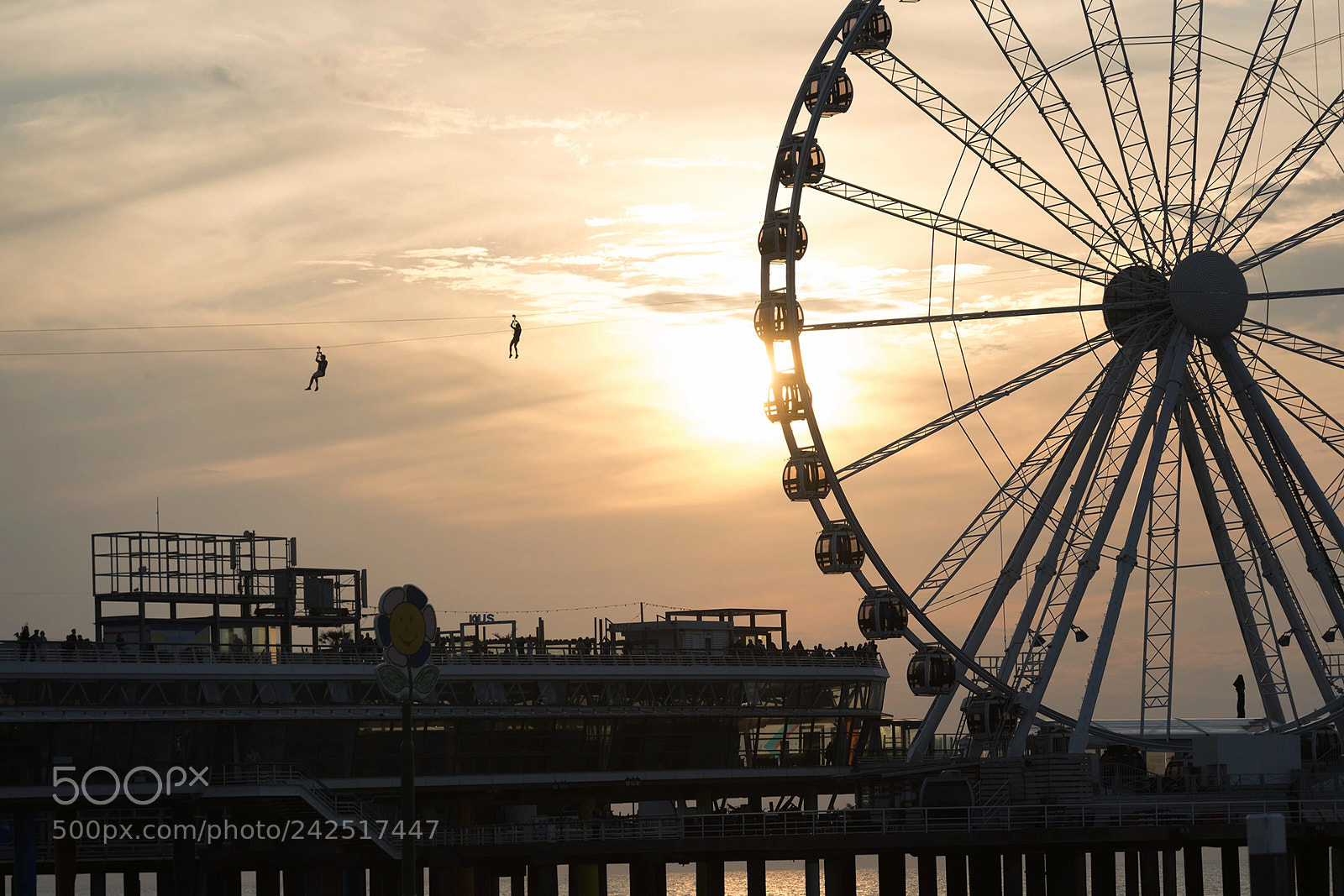 Nikon D800 sample photo. Hang'd,  scheveningen, agosto 2017 photography