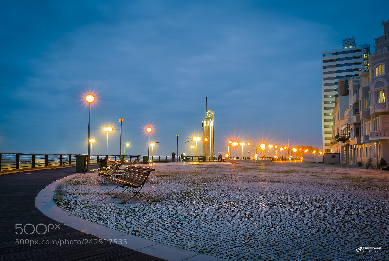 Nikon D5500 sample photo. Blue night photography