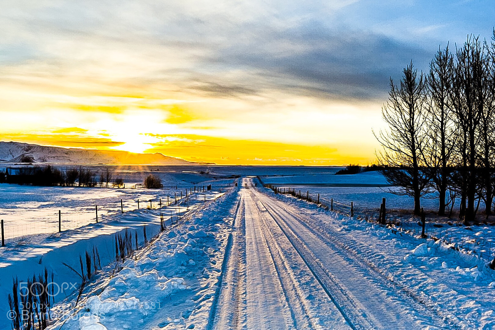 Nikon D5500 sample photo. Untitled photography