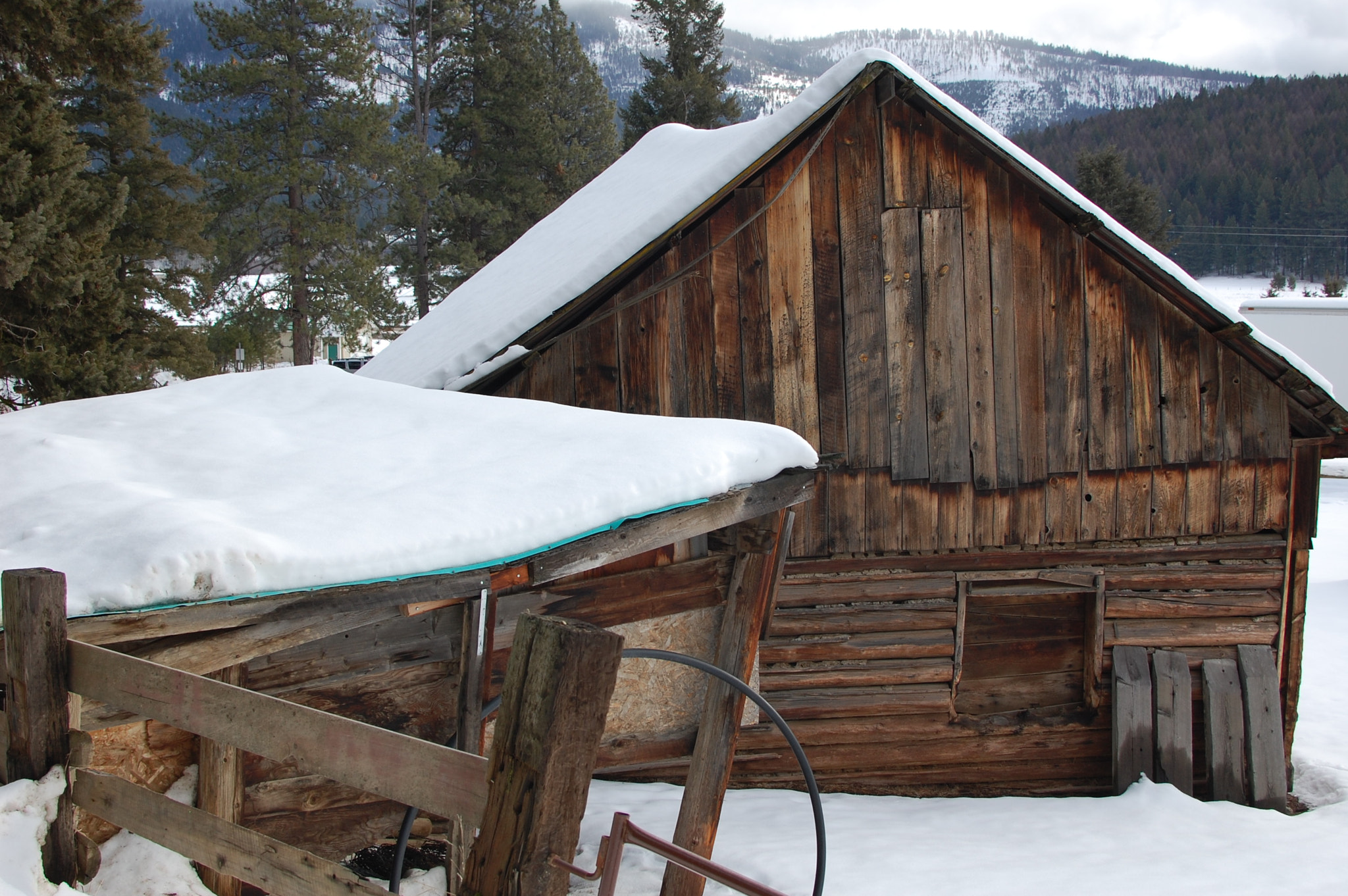 Nikon D40 sample photo. A horse barn photography