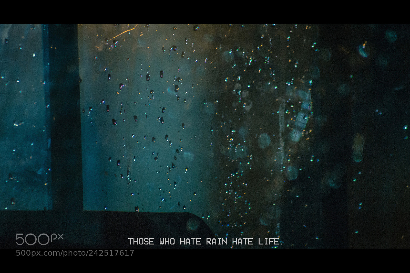 Canon EOS 60D sample photo. Rain droplets photography
