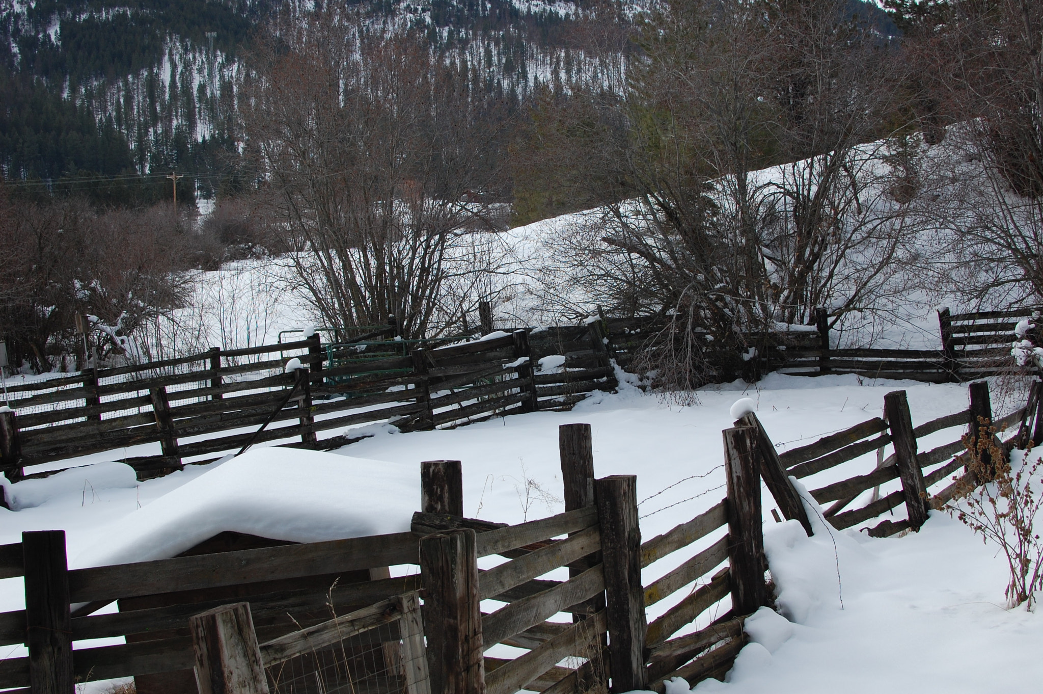 Nikon D40 + Nikon AF-S DX Nikkor 35mm F1.8G sample photo. Corral in the snow photography