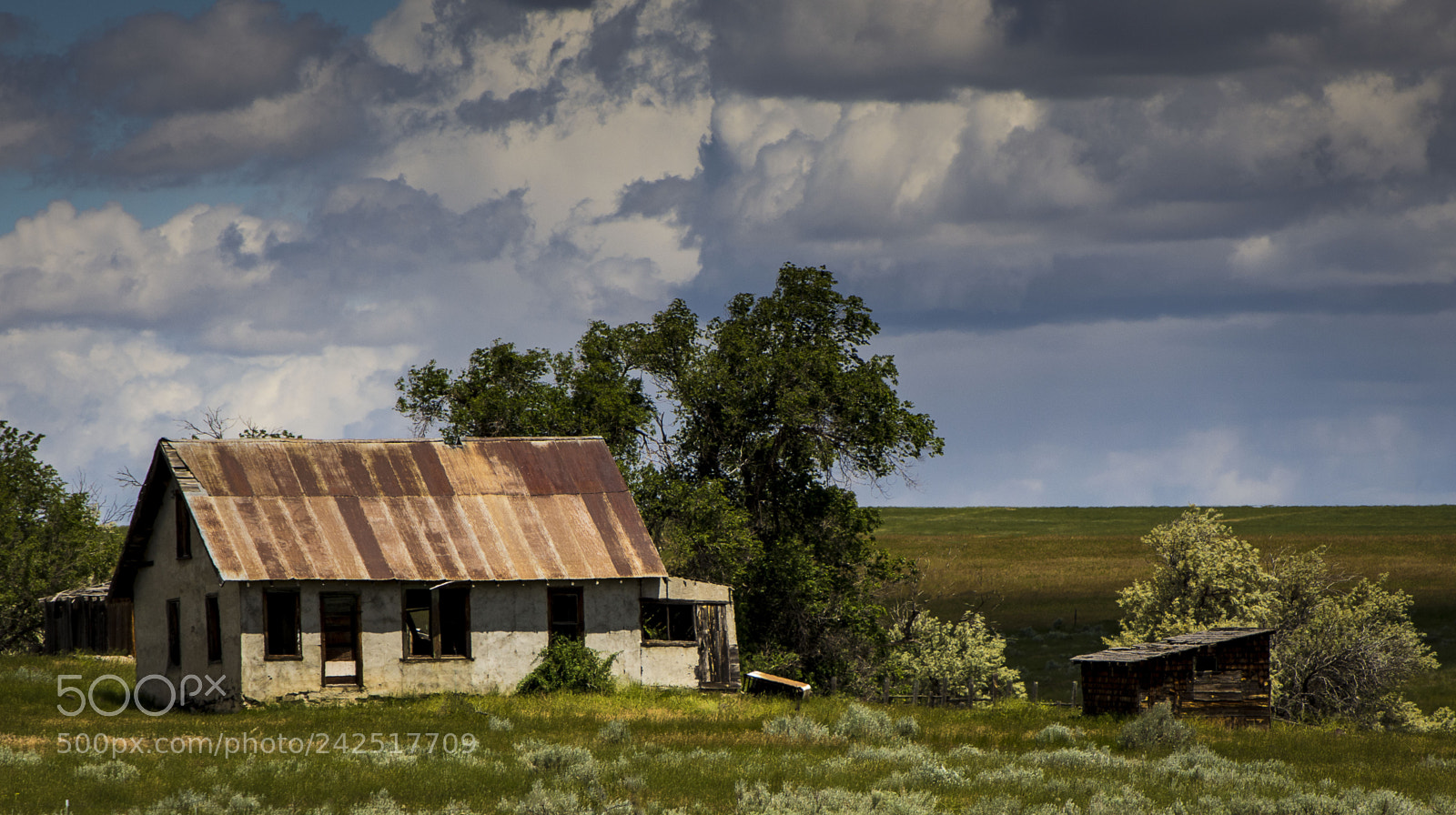 Nikon D7200 sample photo. Homestead 0126 photography