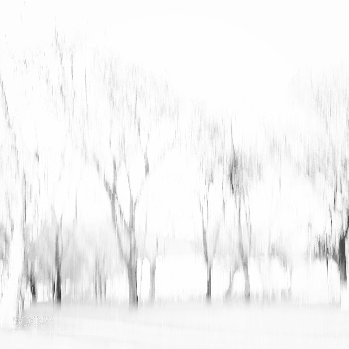Fujifilm X-T1 sample photo. Untitled photography