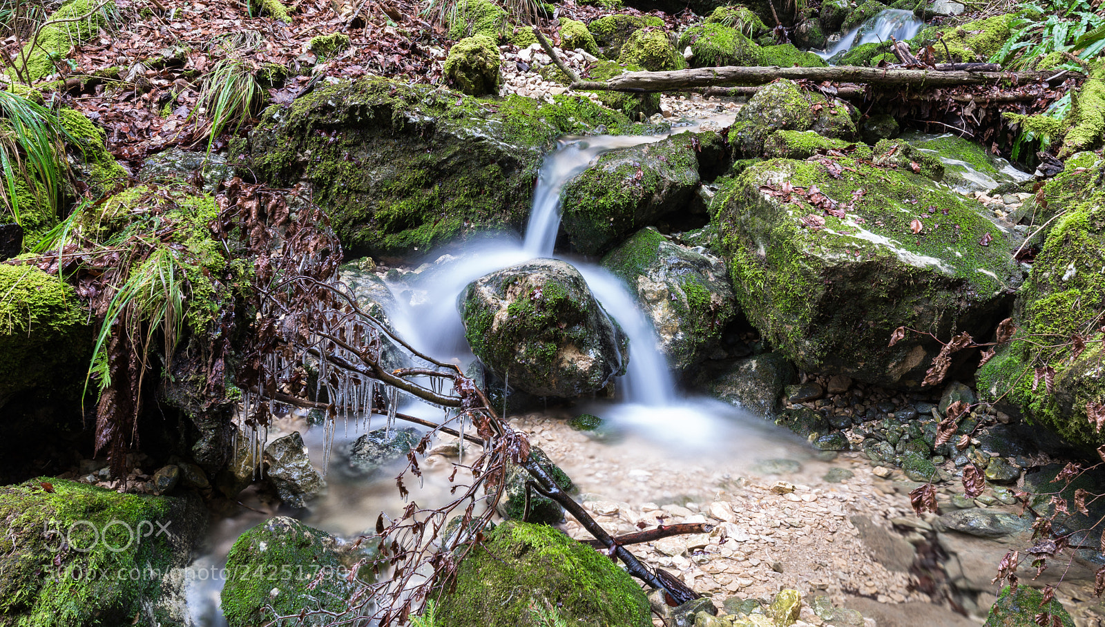Nikon D610 sample photo. Jura photography
