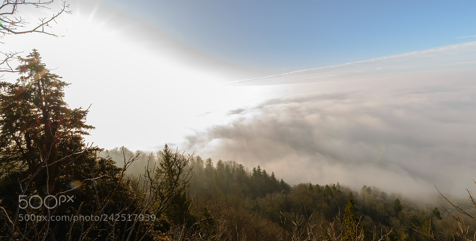 Nikon D610 sample photo. Jura photography