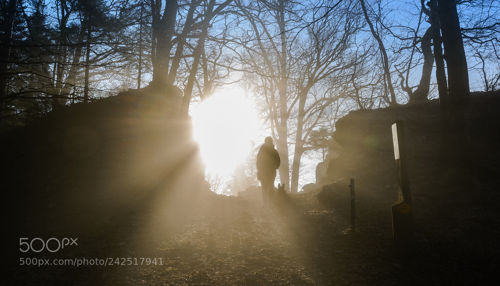 Nikon D610 sample photo. Jura photography