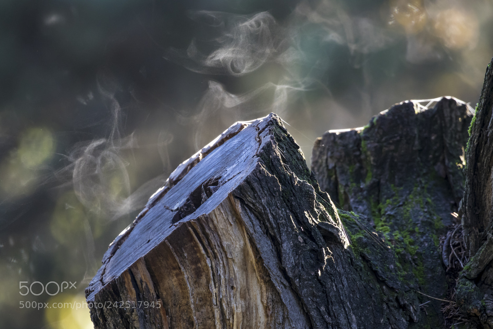 Canon EOS 7D Mark II sample photo. Morning evaporation photography