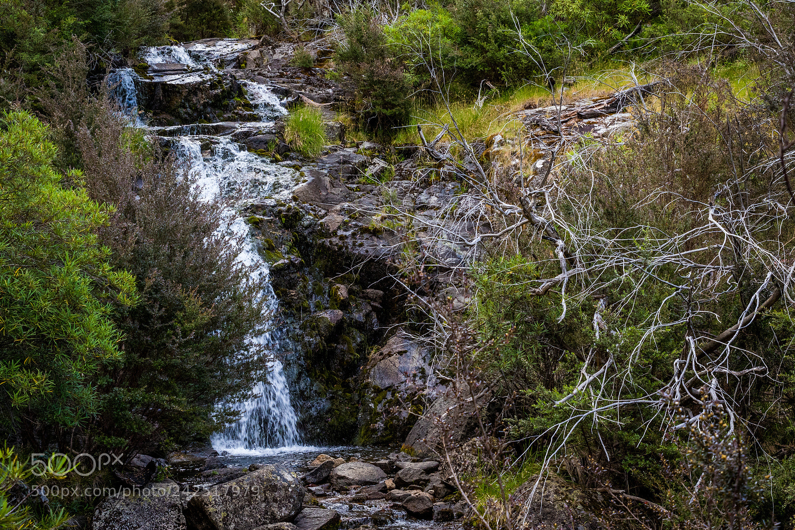 Canon EOS 7D Mark II sample photo. Hidden forest waterfall photography