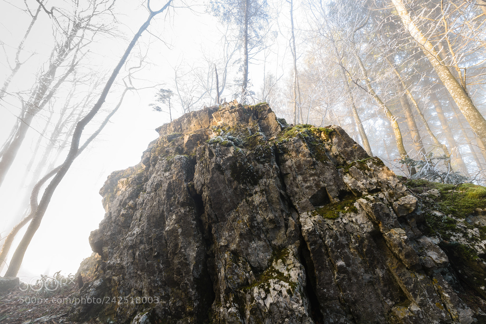 Nikon D610 sample photo. Jura photography