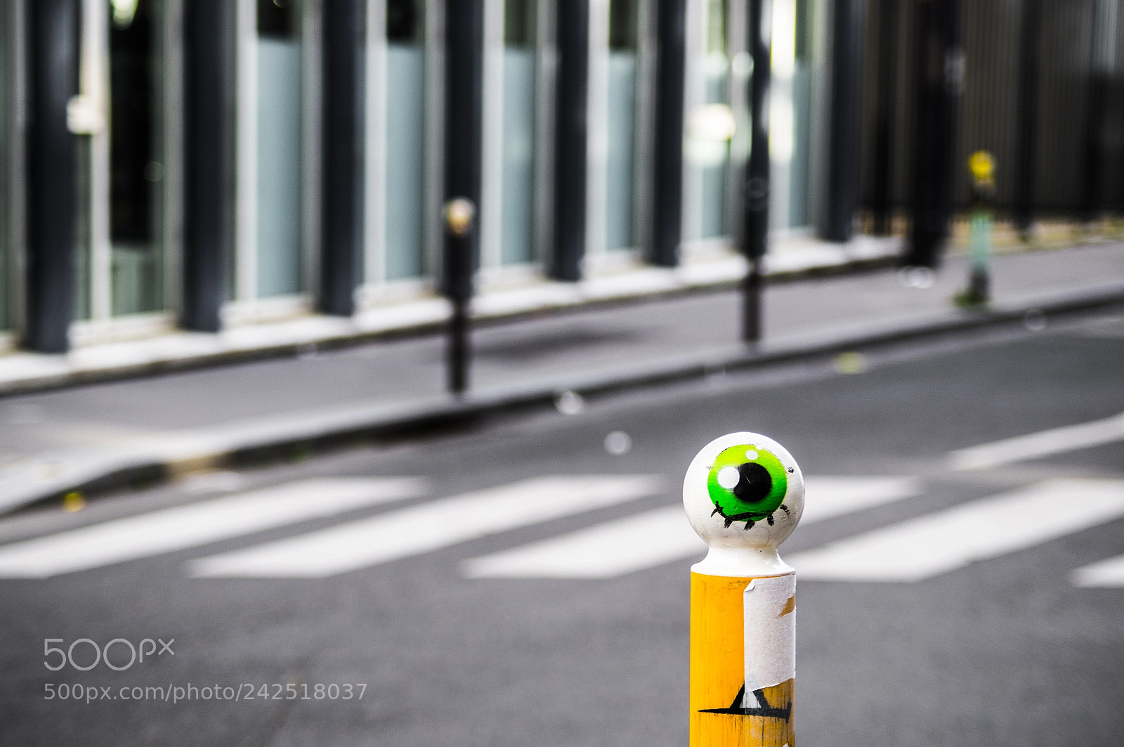 Sony SLT-A57 sample photo. You´re being watched photography