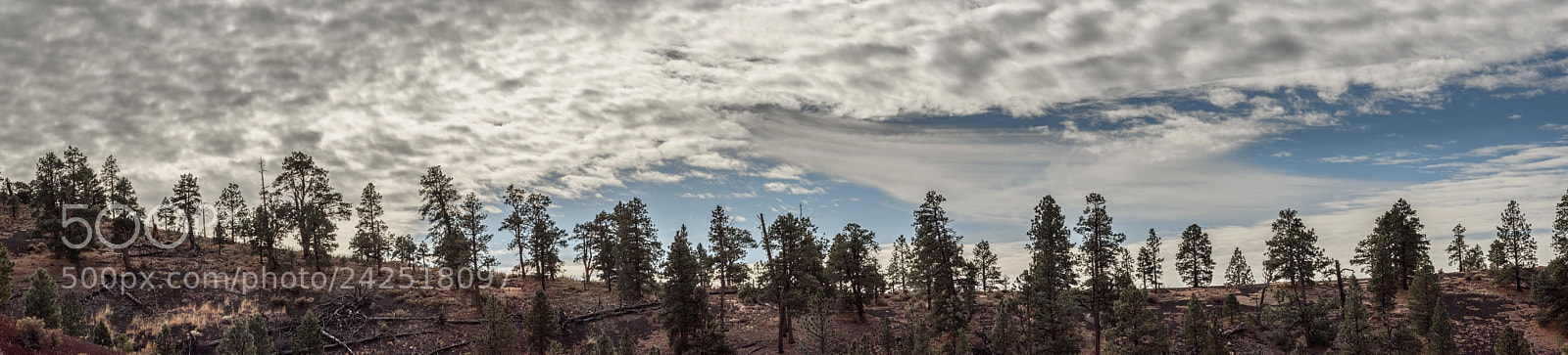 Nikon D810 sample photo. Sunset crater rim photography