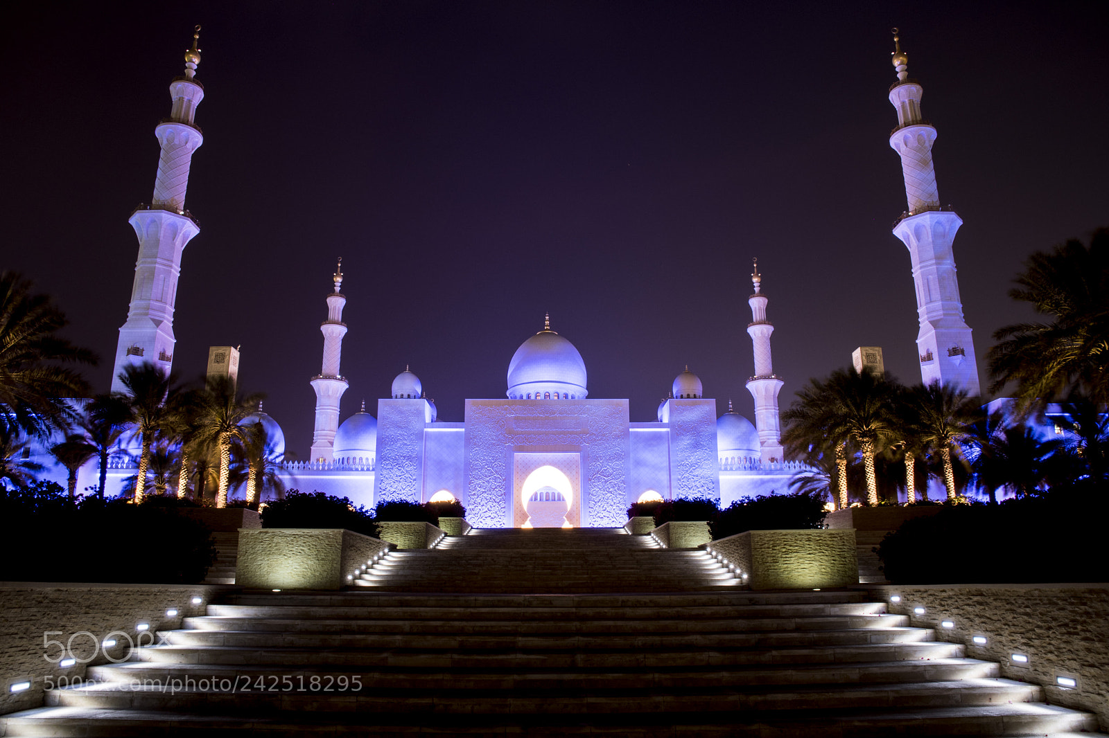 Nikon D500 sample photo. Sheikh zayed grand mosque photography