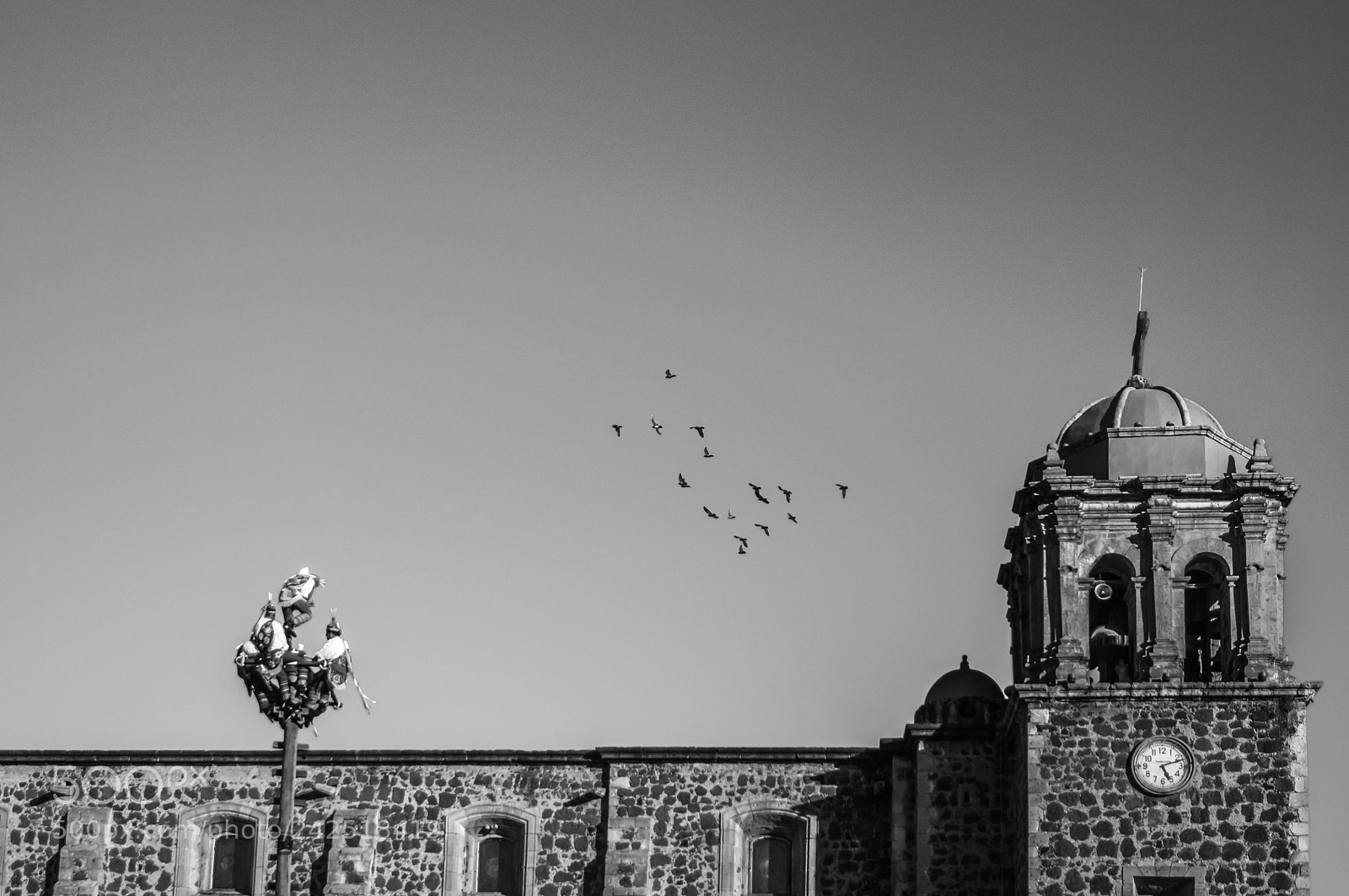 Sony SLT-A57 sample photo. Dancing with the birds photography