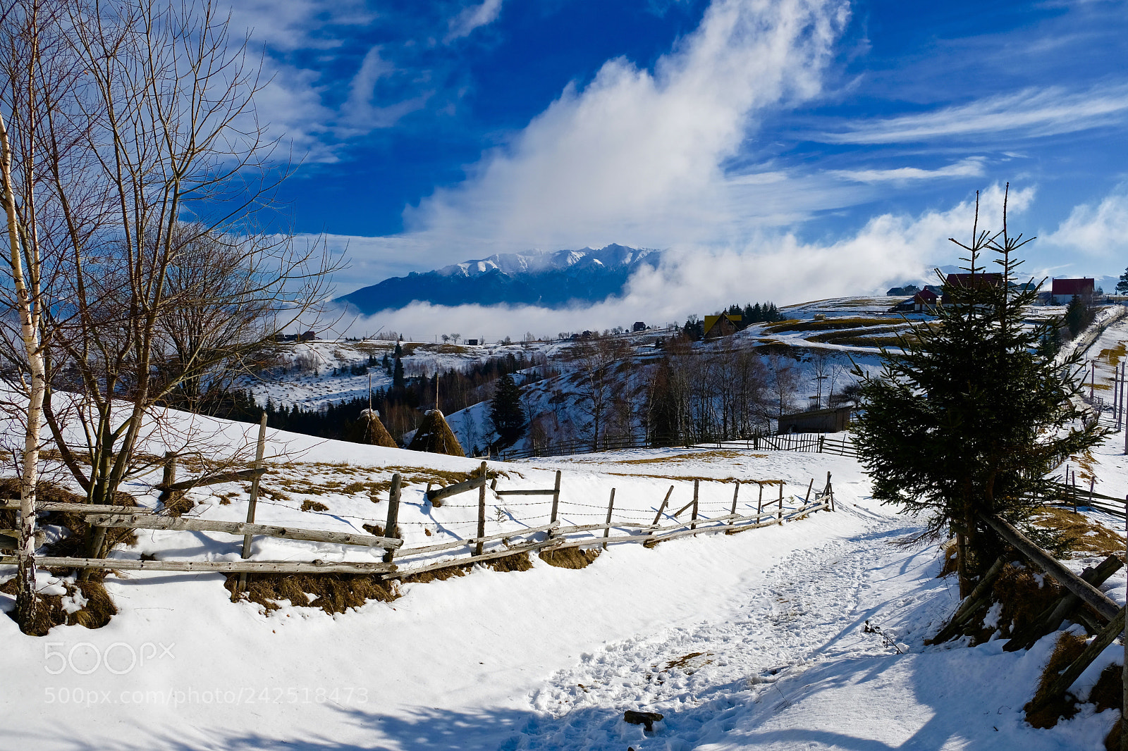 Fujifilm X-T2 sample photo. Pestera, romania photography
