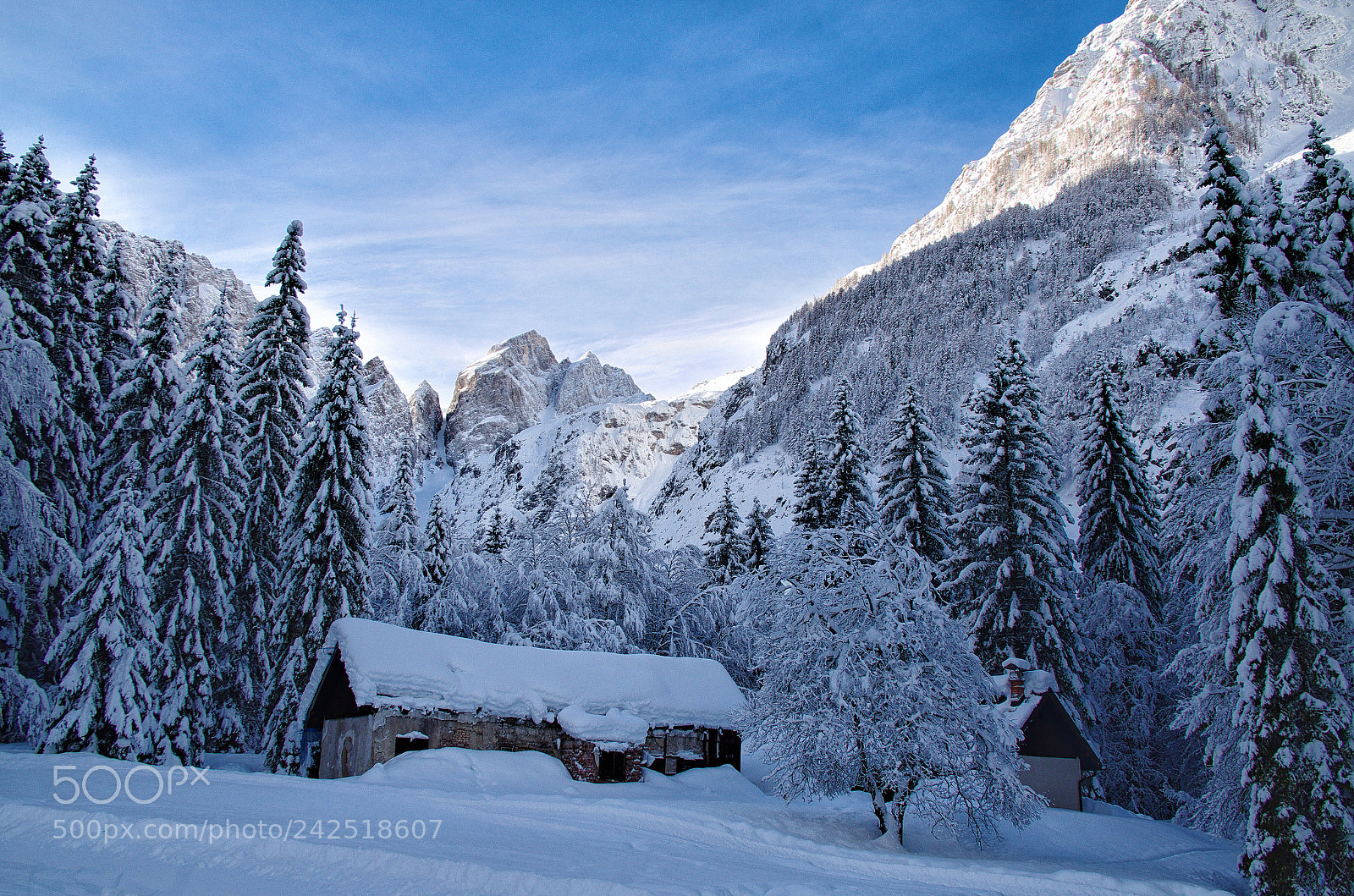 Pentax K-50 sample photo. Deep in snow photography