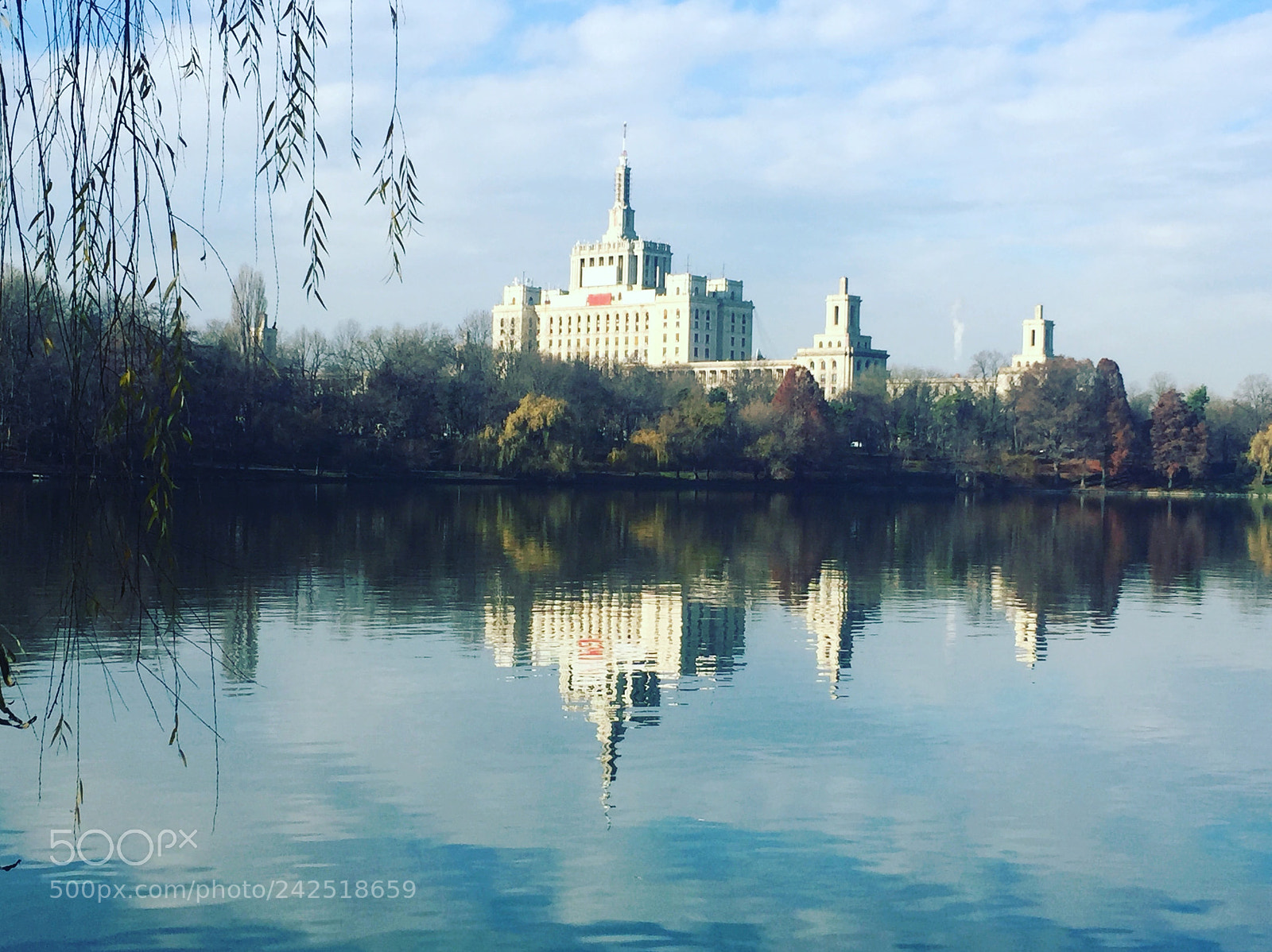 Apple iPhone 6 sample photo. No way photography