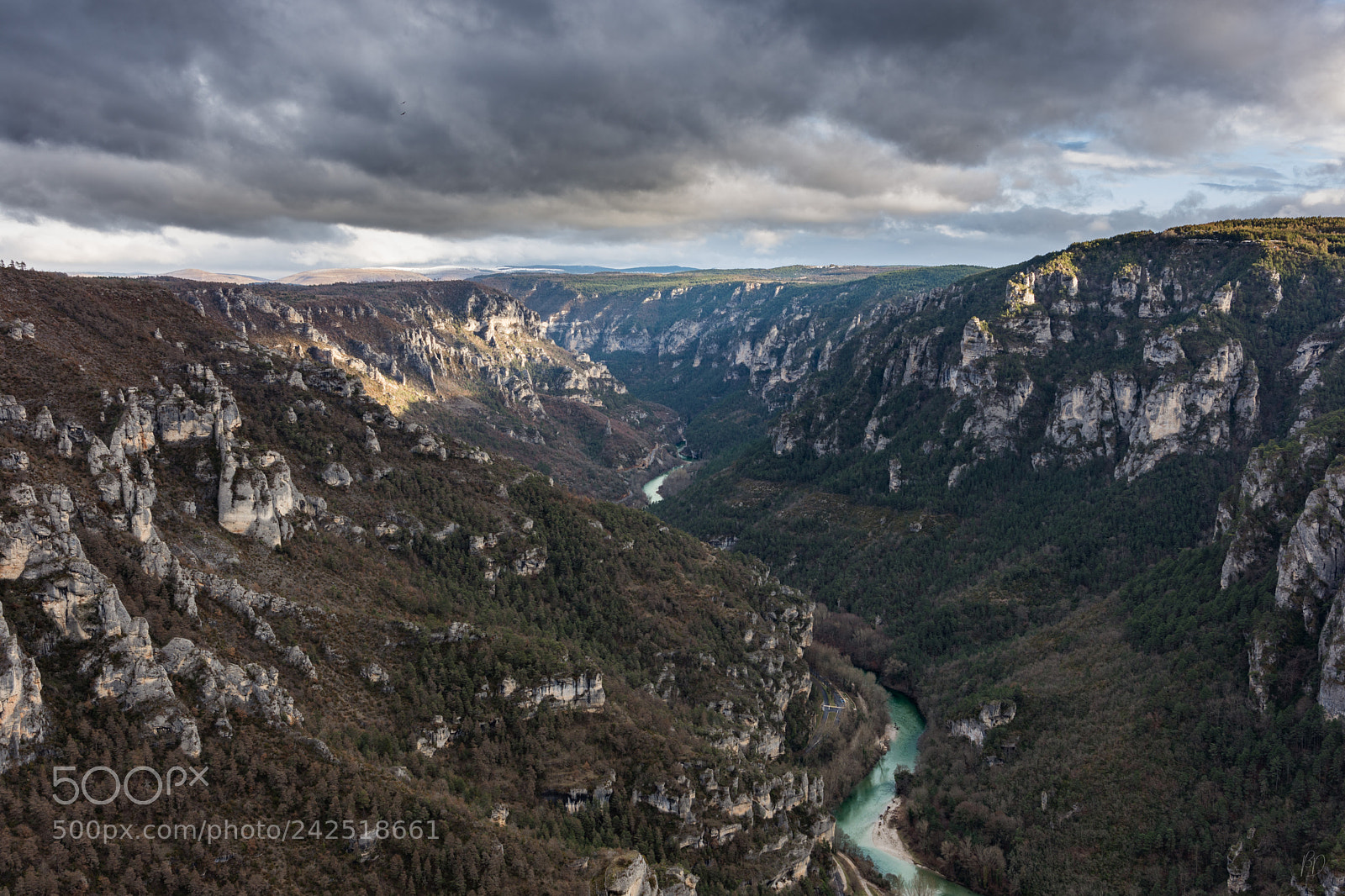 Nikon D7200 sample photo. Gorges du tarn photography