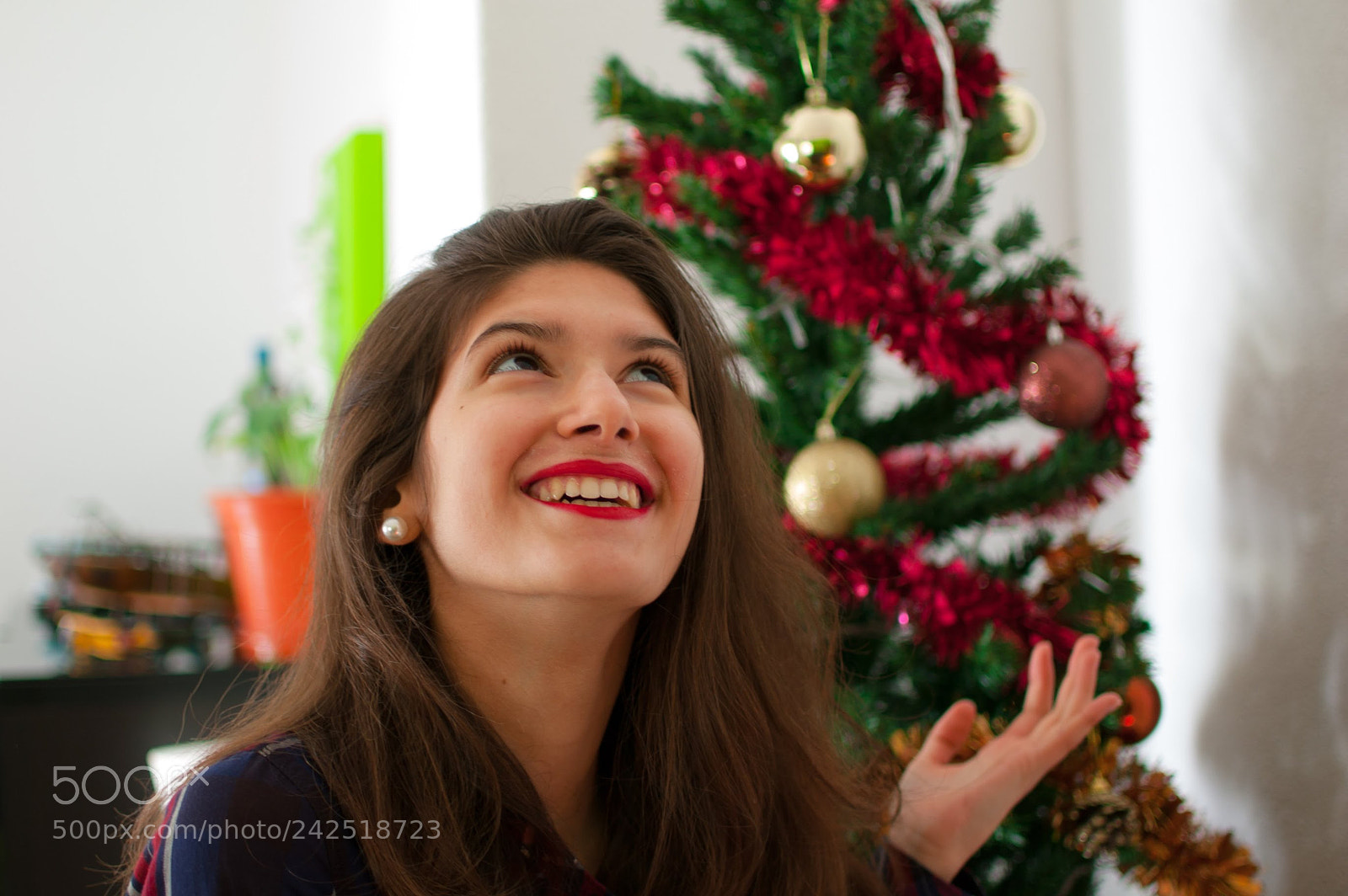 Nikon D40 sample photo. Mariana christmas tree photography
