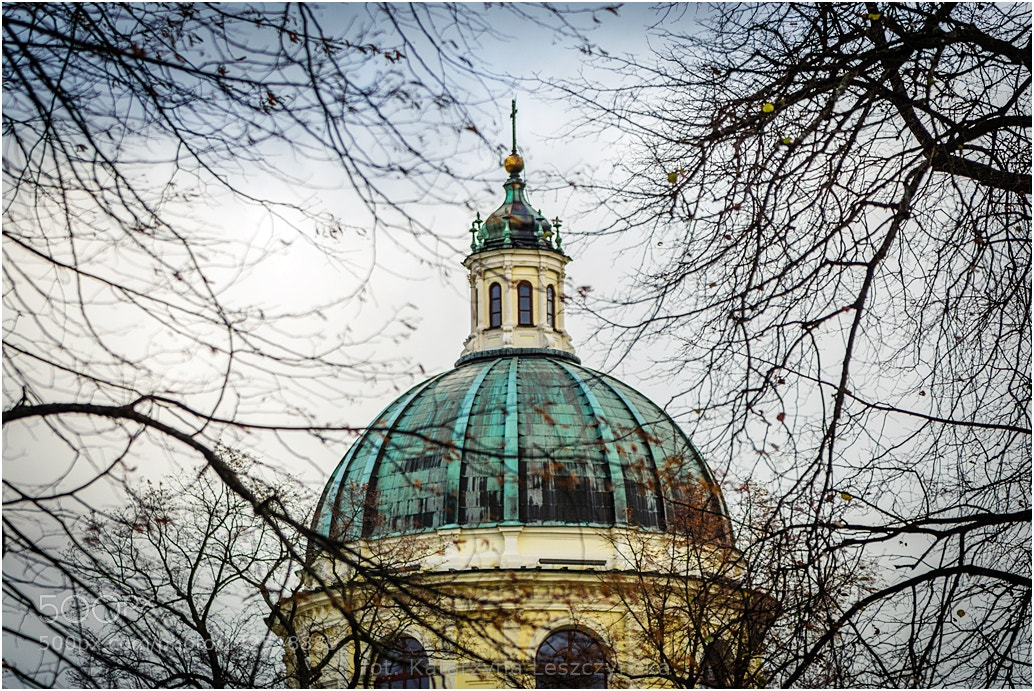 Nikon D7100 sample photo. Poland photography