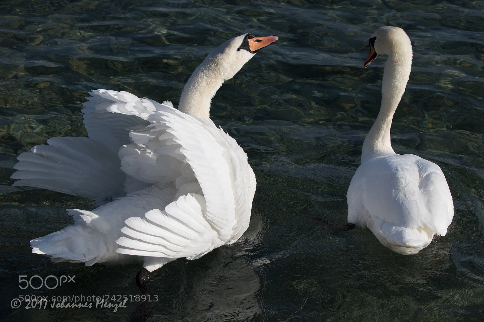 Canon EOS 7D Mark II sample photo. That don't impress her photography