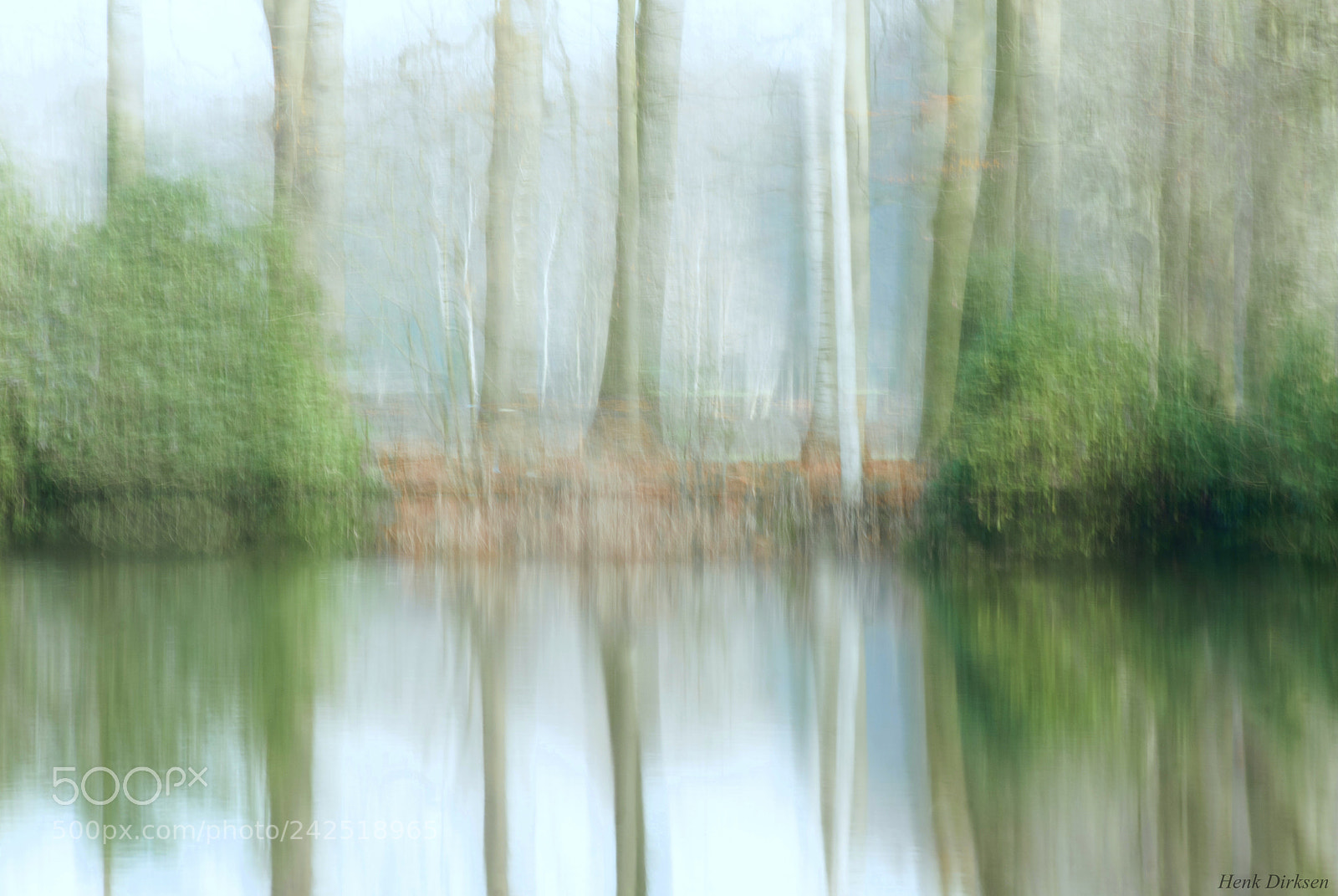 Nikon D200 sample photo. At the pond photography