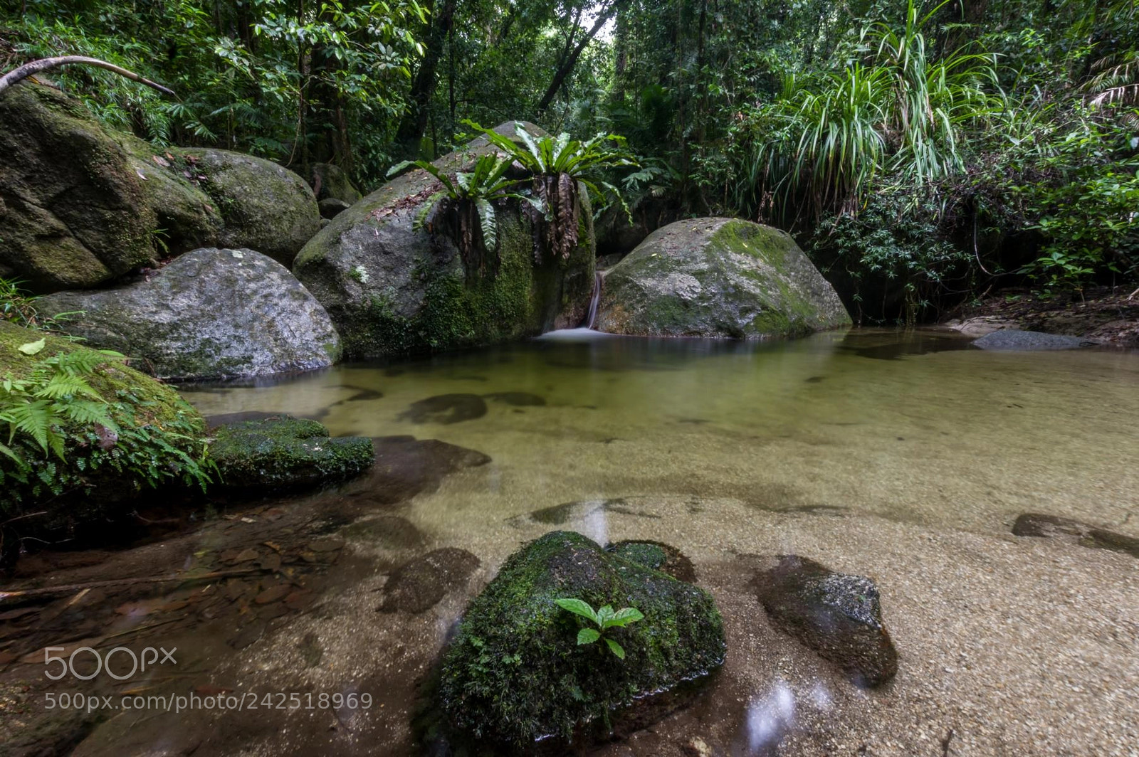 Pentax K-3 II sample photo. Waterflow photography