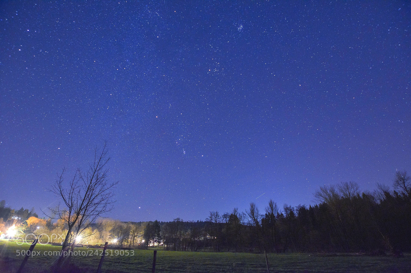 Nikon D7200 sample photo. Starlight photography