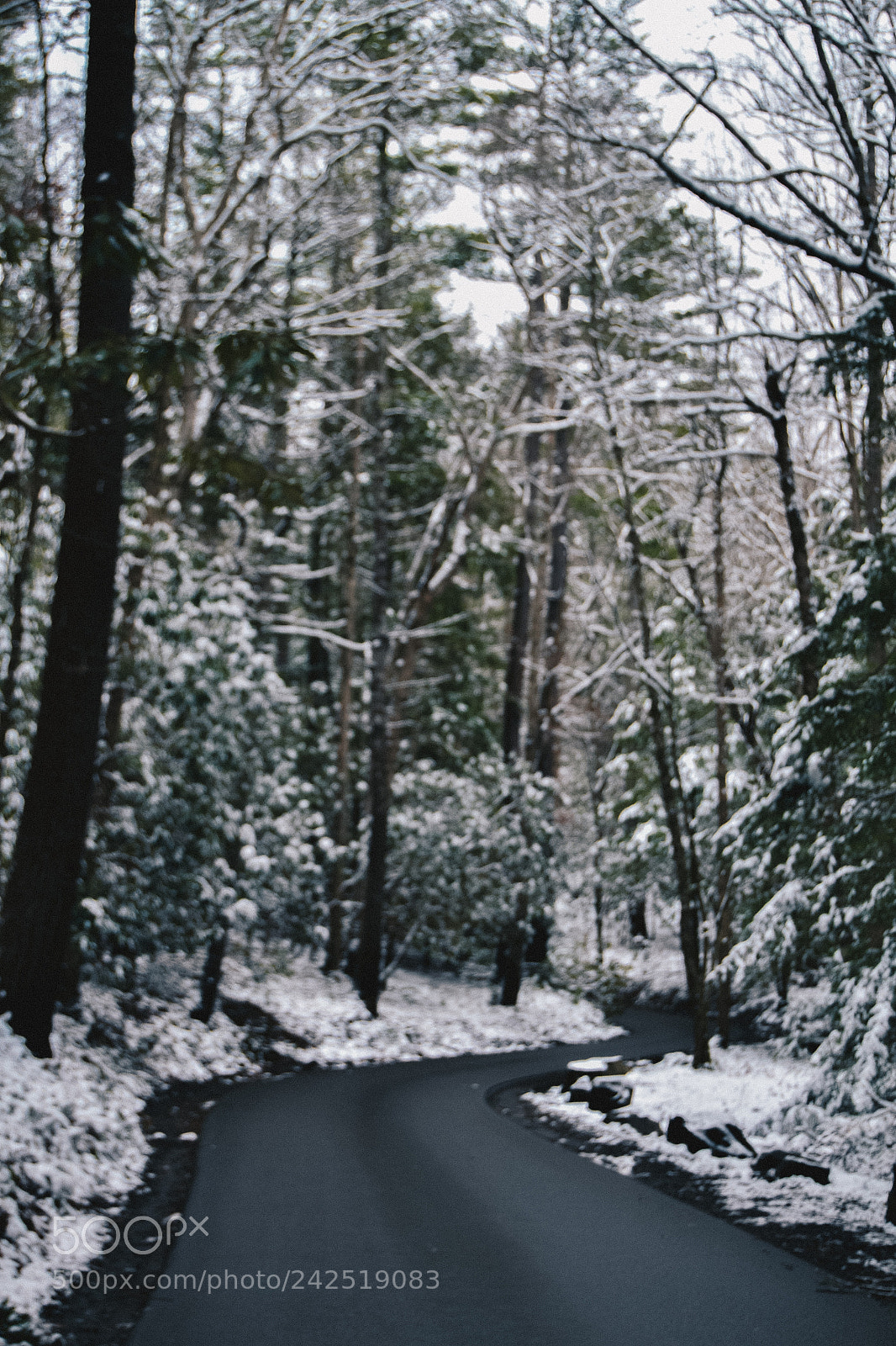 Nikon D3100 sample photo. Mountain road, take me photography