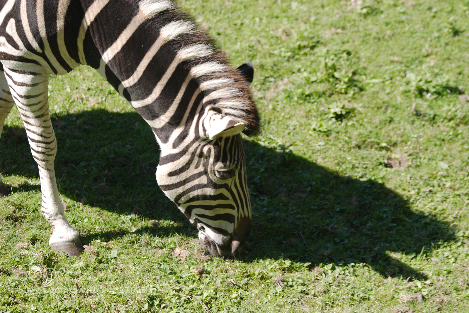 Canon EOS 20D sample photo. Untitled photography