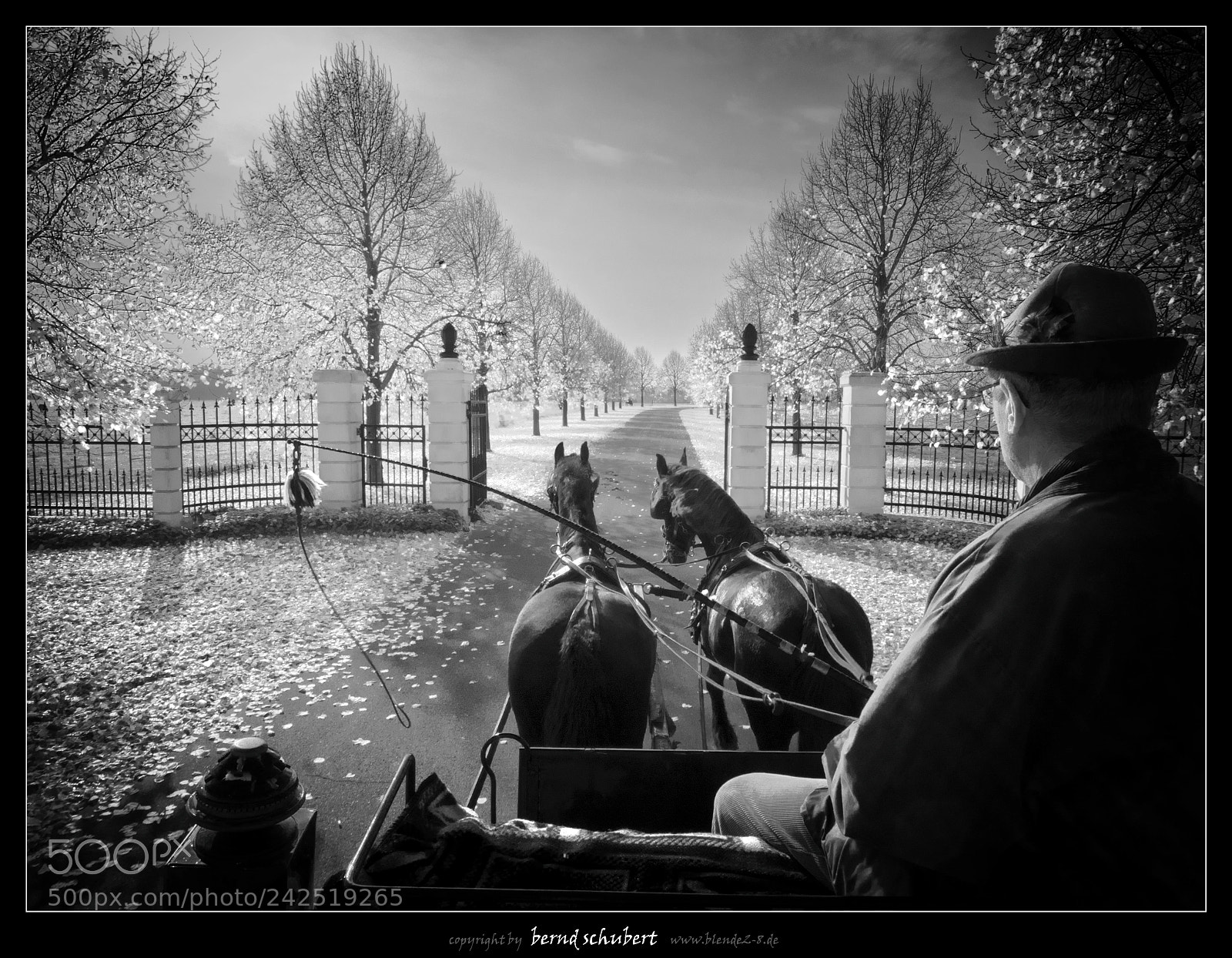Olympus OM-D E-M5 II sample photo. Hesterberg photography