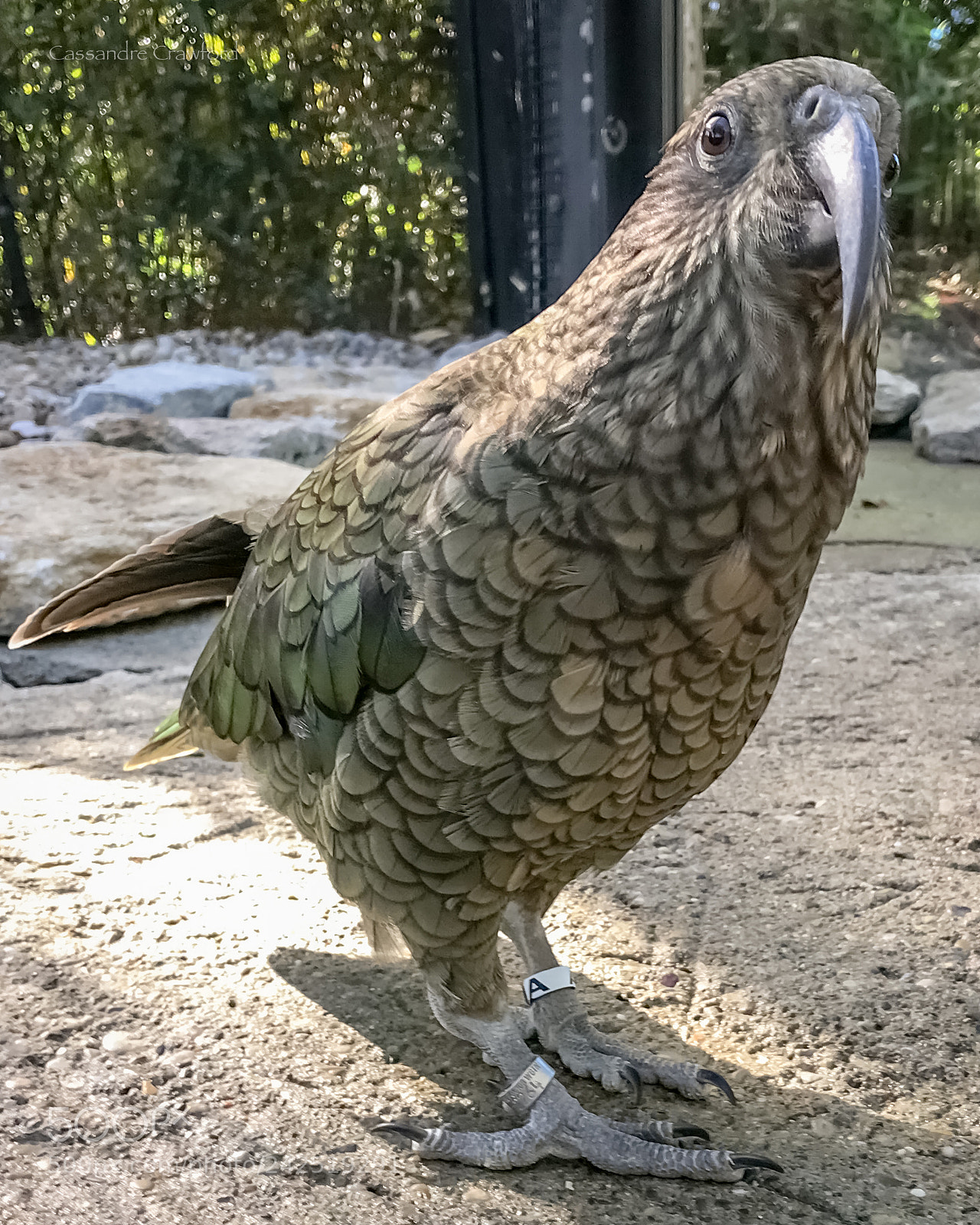 Apple iPhone 7 sample photo. Admiral photography