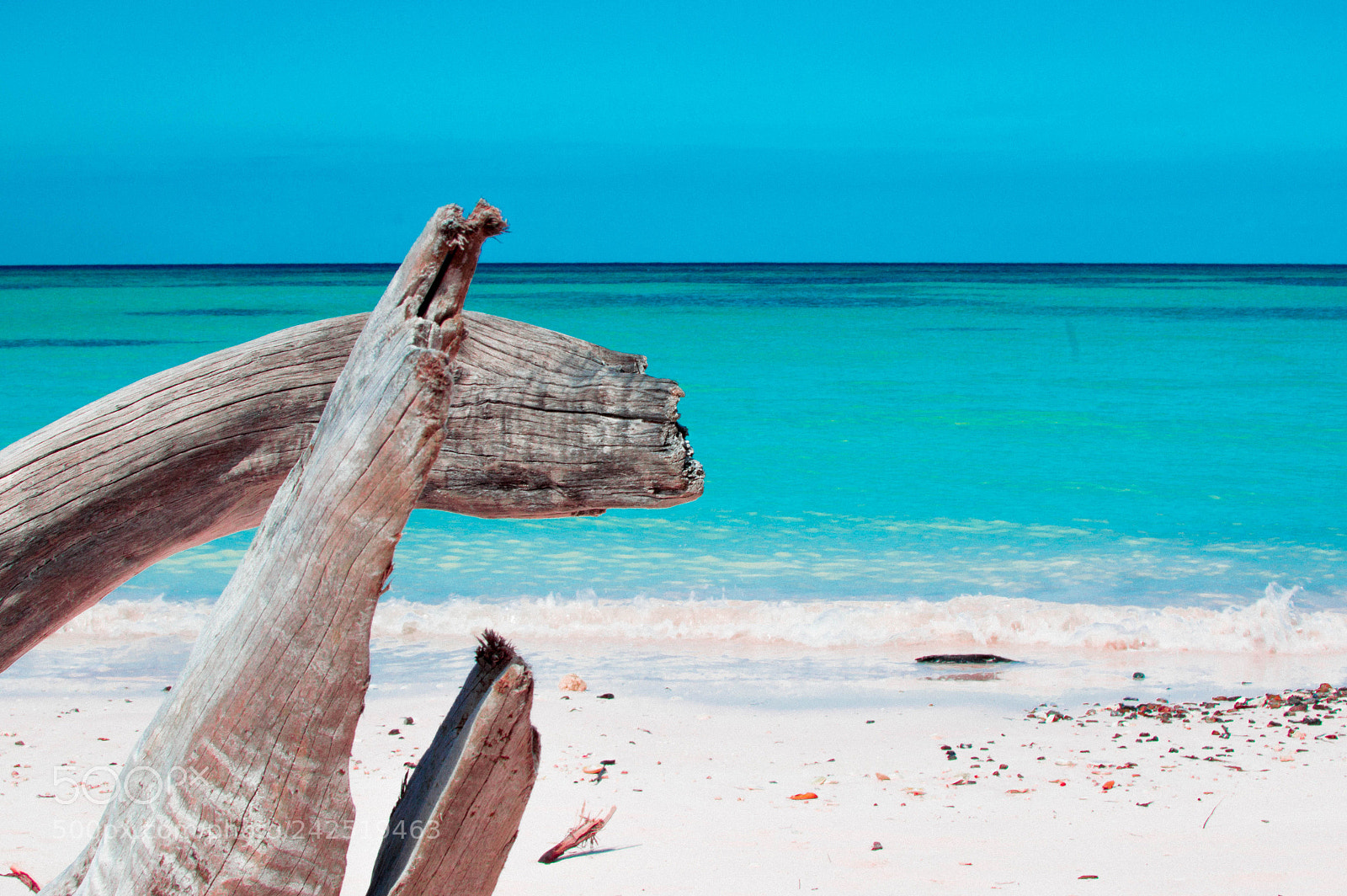 Nikon D3200 sample photo. Paradise iv photography