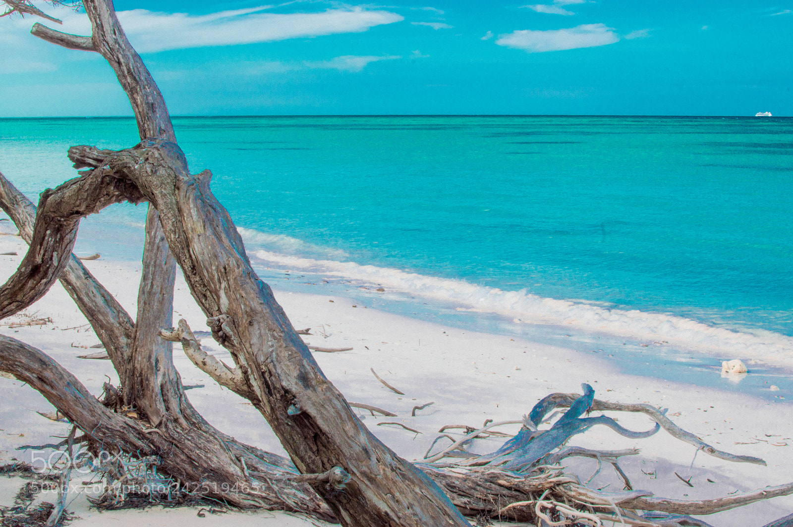 Nikon D3200 sample photo. Paradise iii photography