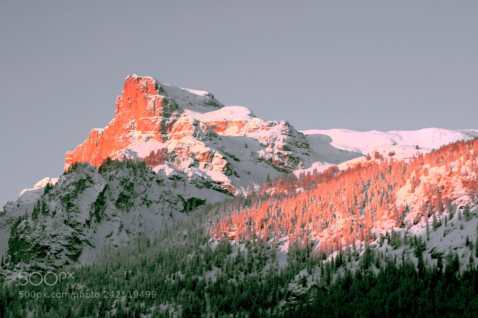 Canon EOS 450D (EOS Rebel XSi / EOS Kiss X2) sample photo. Alta badia photography
