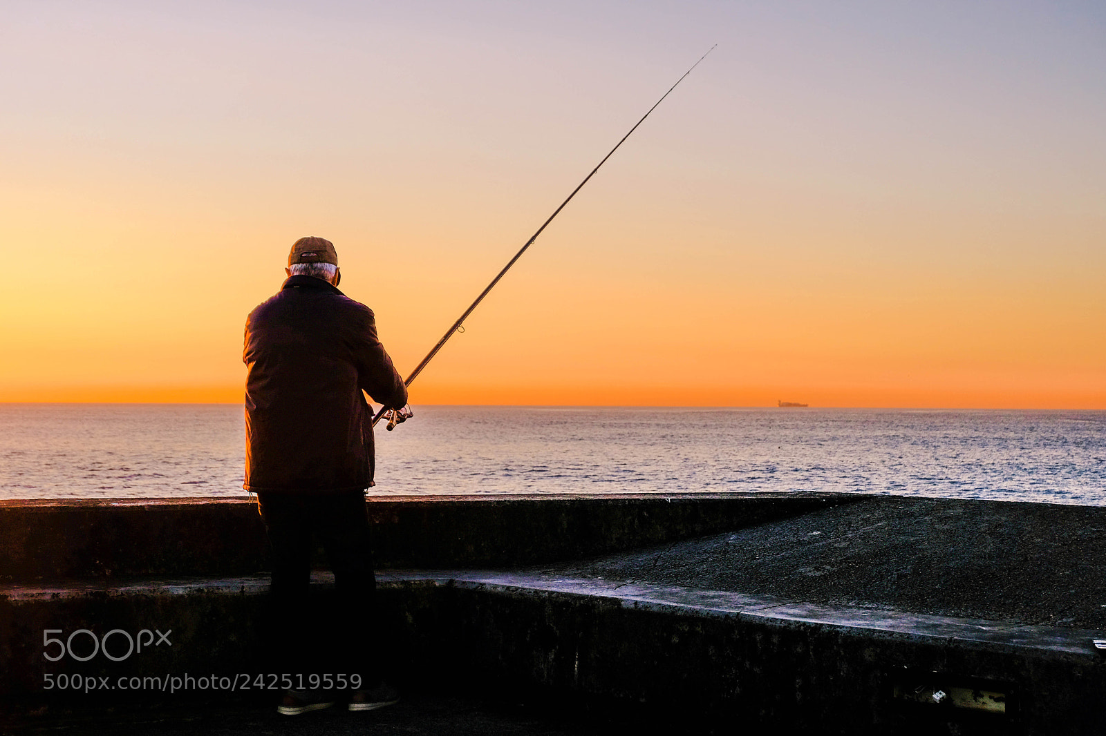 Fujifilm X-T20 sample photo. Pesca photography
