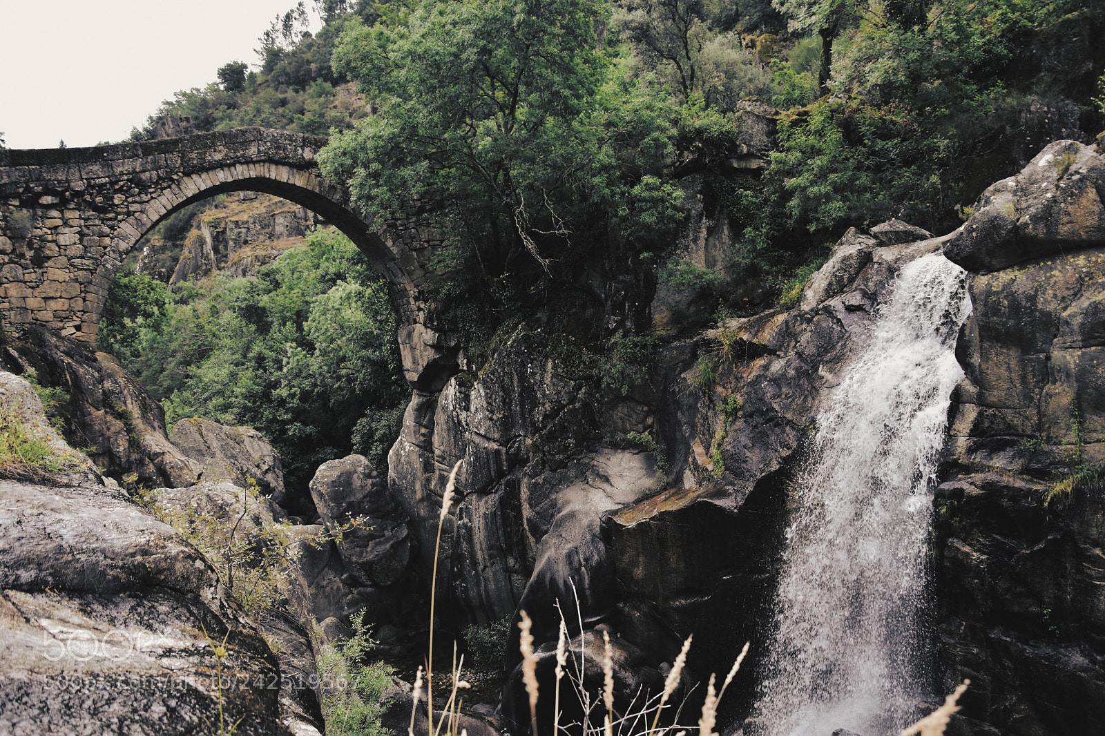 Nikon D3400 sample photo. Movie waterfall photography